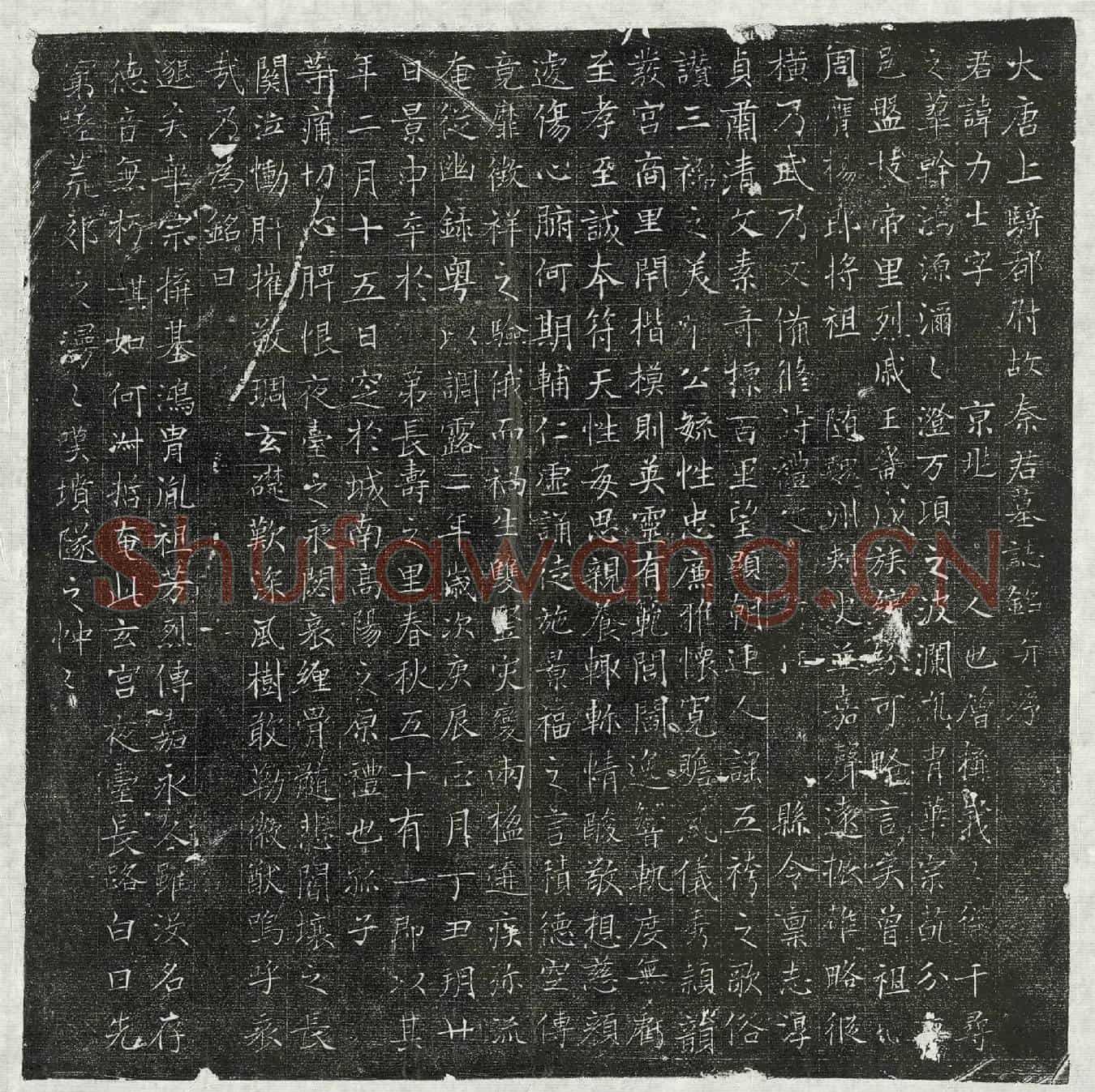 唐秦力士墓誌(大唐上骑都尉故秦君墓誌铭并序)