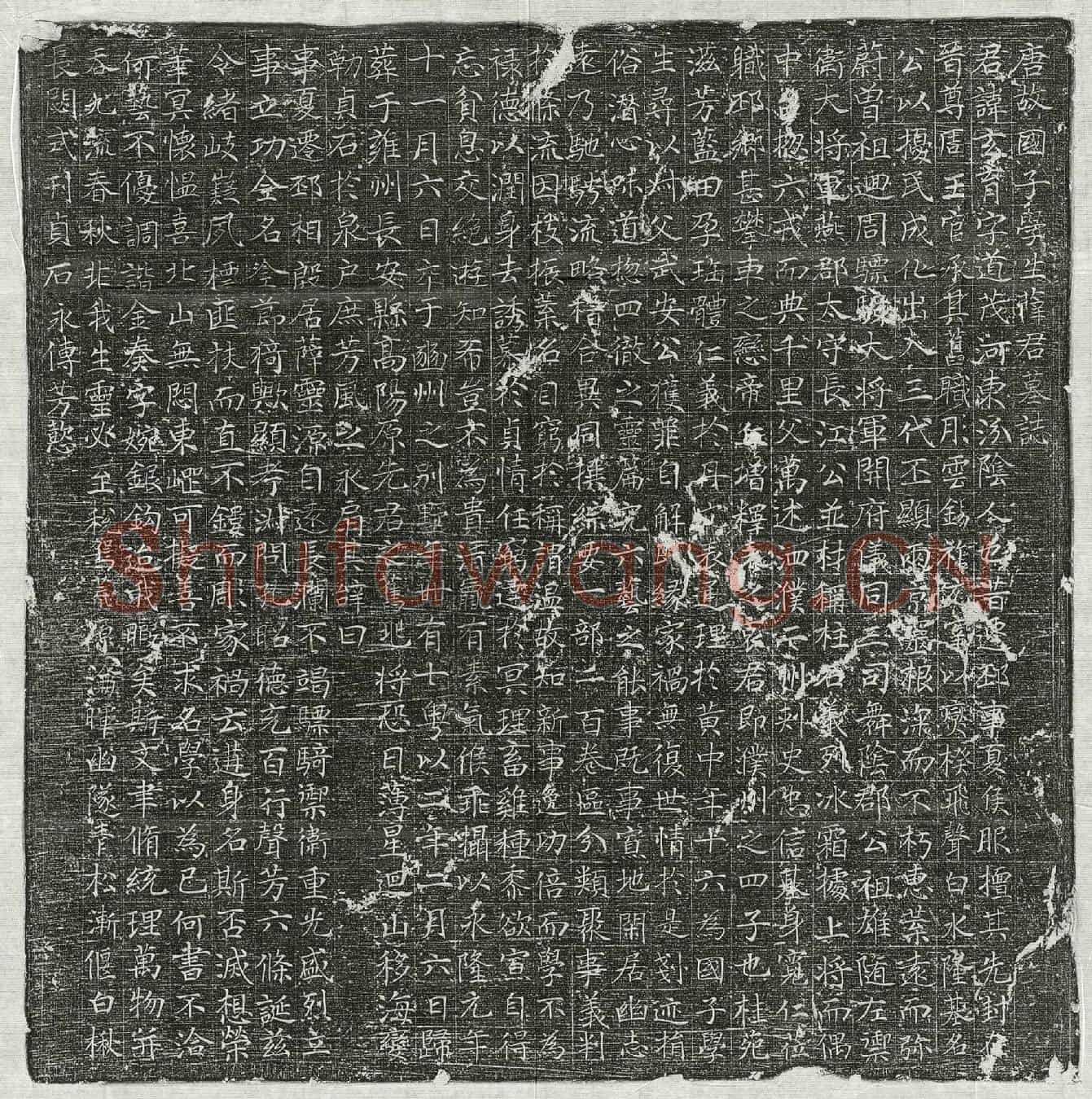唐薛玄育墓誌(唐故国子学生薛君墓誌)