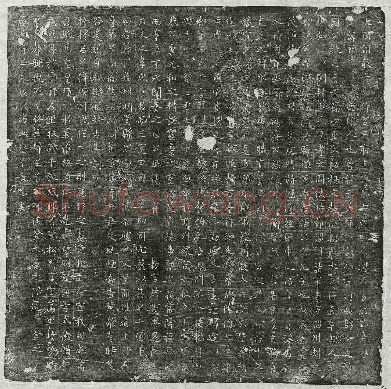 唐樊祯墓誌(大周朝散大夫行宫尹府主簿摄右台御史樊君墓誌铭并序)