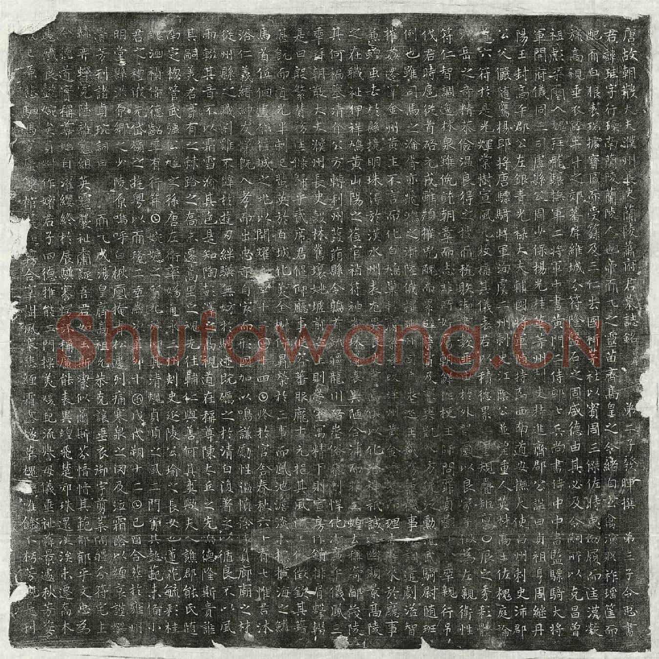 唐萧珪墓誌(唐故朝散大夫濮州长史兰陵萧府君墓誌铭并序)