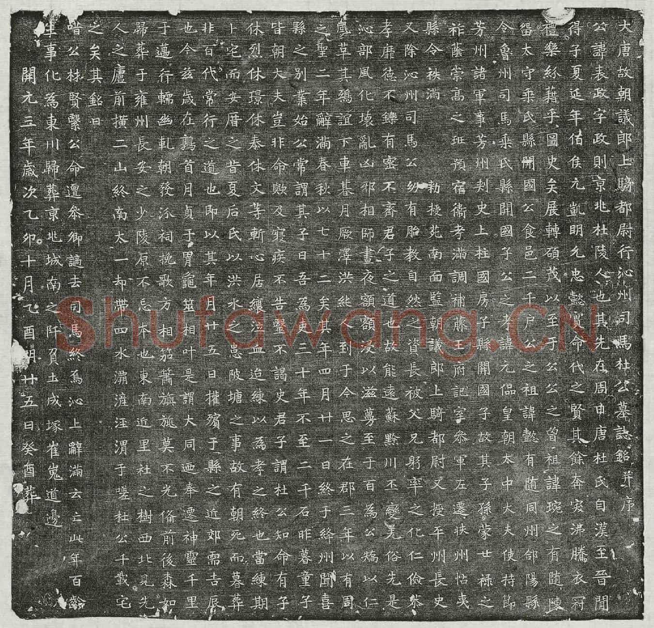 唐杜表政墓誌(大唐故朝议郎上骑都尉行沁州司马杜公墓誌铭并序)