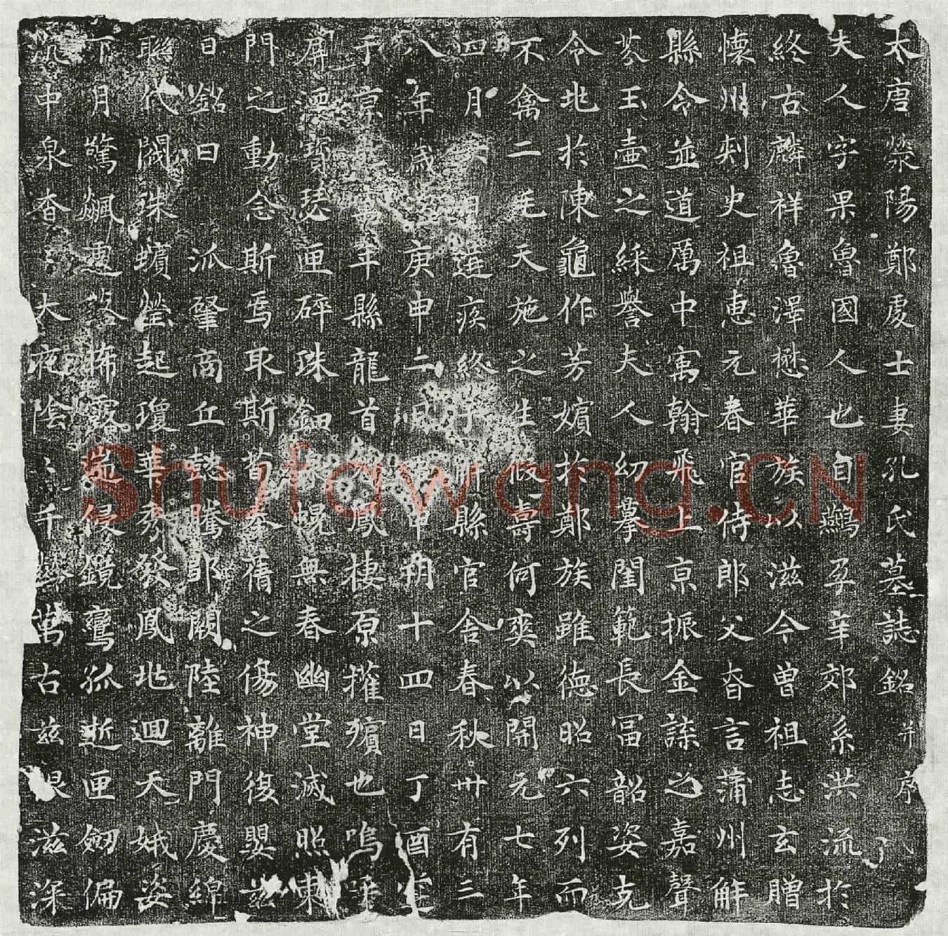 唐郑君妻孔果墓誌(大唐荥阳郑处士妻孔氏墓誌铭并序)