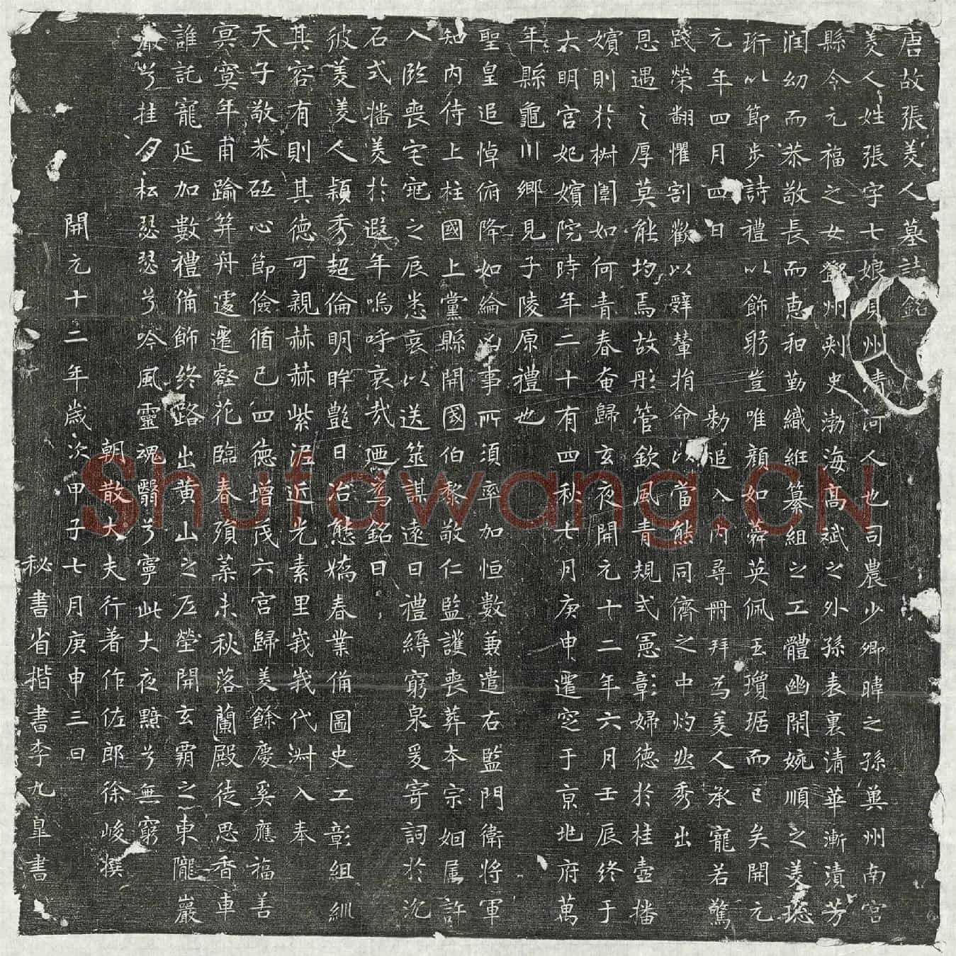 唐美人张七娘墓誌(唐故张美人墓誌铭)