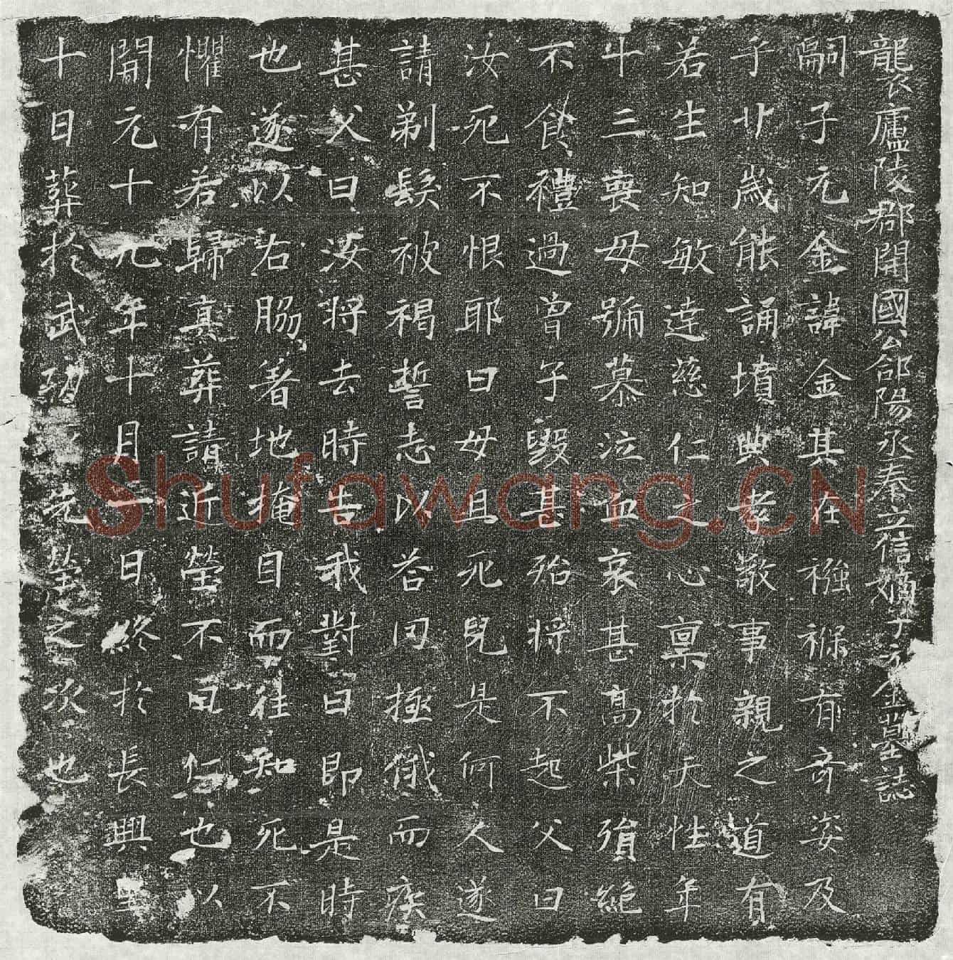 唐秦元金墓誌(袭庐陵郡开国公郃阳丞秦立信嫡子元金墓誌)
