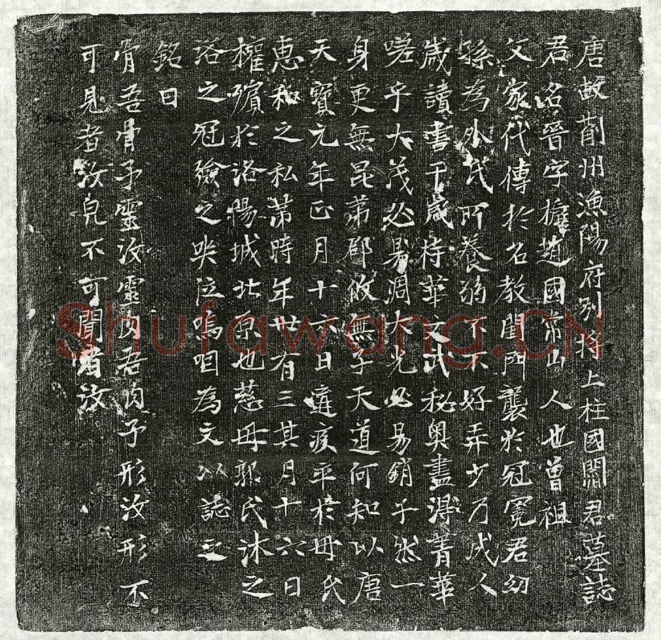 唐阎晋墓誌(唐故蓟州渔阳府别将上柱国阎君墓誌)