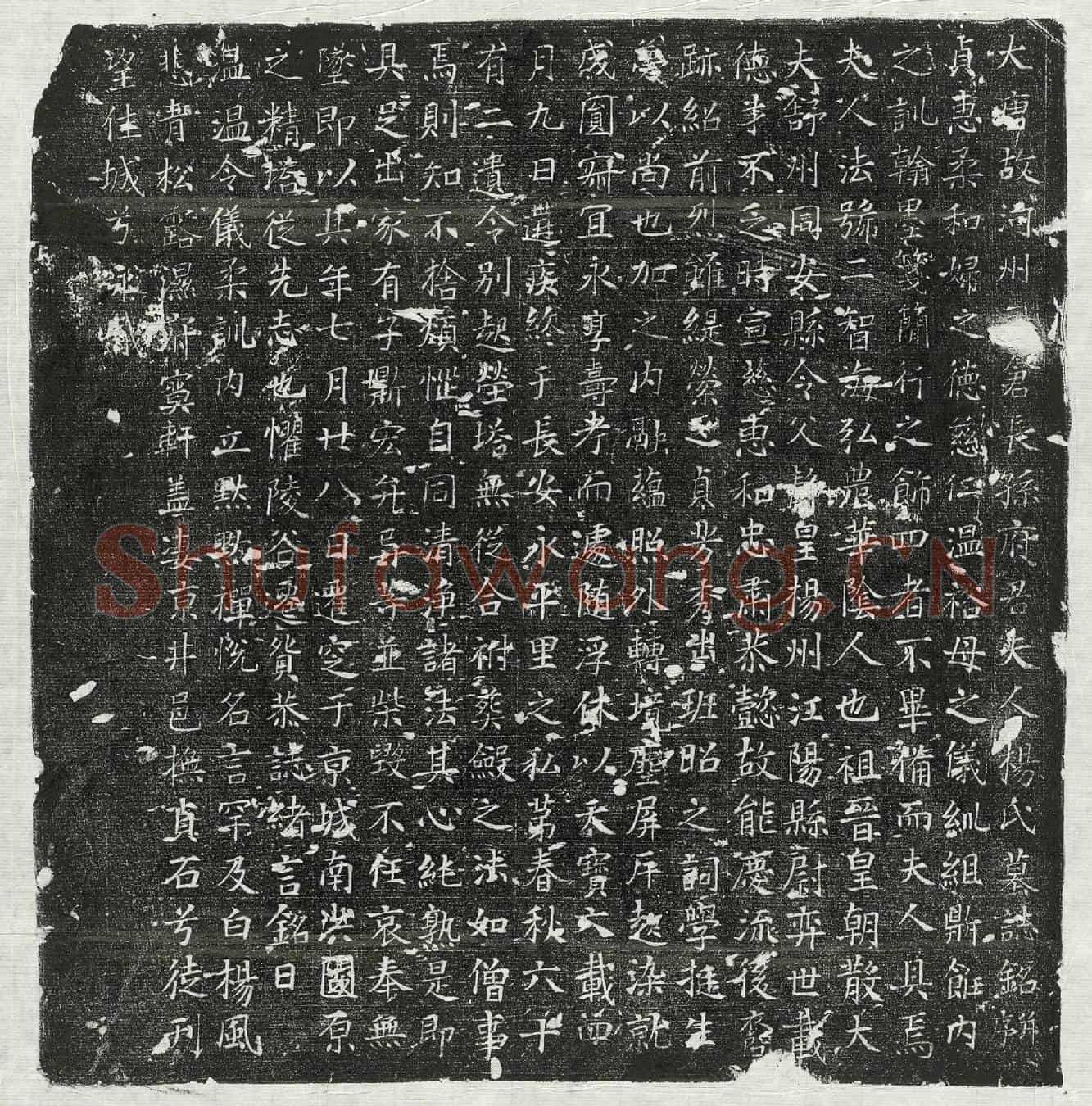 唐长孙君妻杨二智海墓誌(大唐故河州司仓长孙府君夫人杨氏墓誌铭并序)