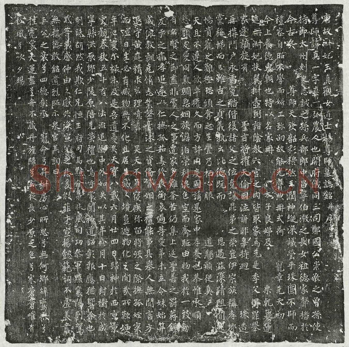 唐淑妃杨真一墓誌(唐故淑妃玉真观女道士杨尊师墓誌铭并序)