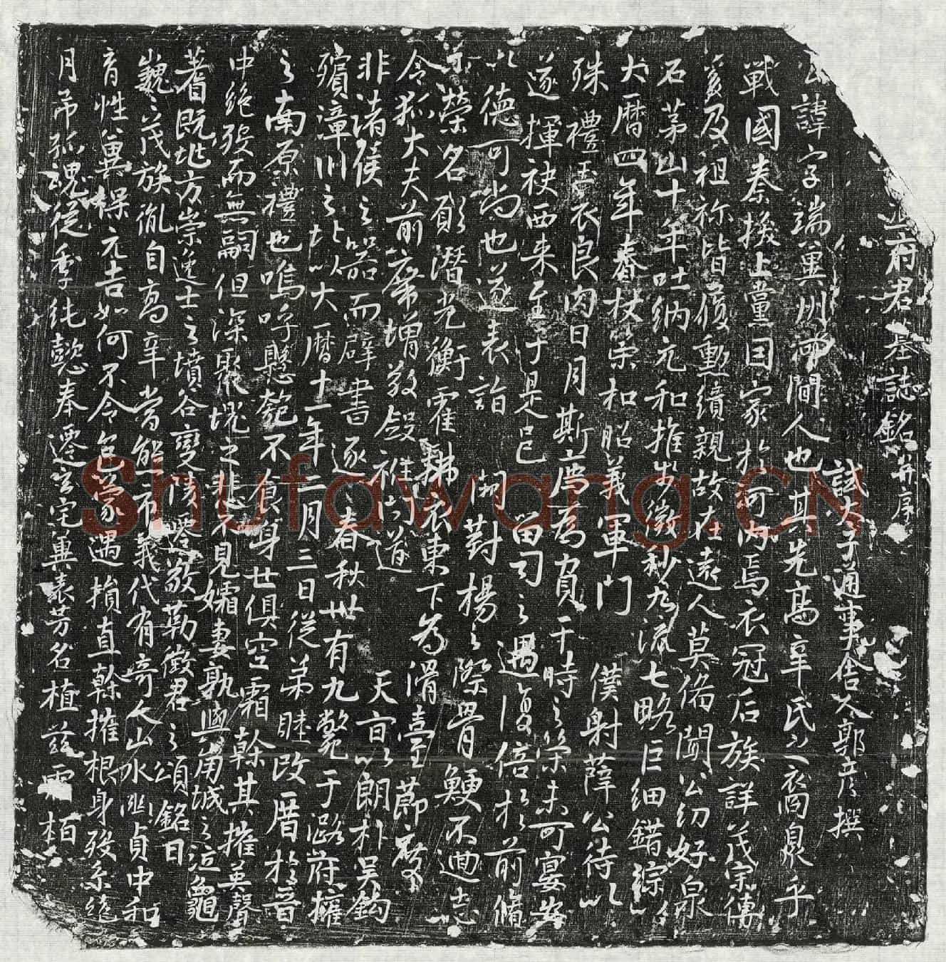 唐冯端墓誌(【/】冯府君墓誌铭并序)