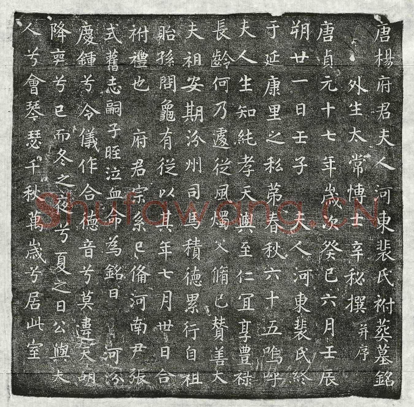 唐杨鉷妻裴氏墓誌(唐杨府君夫人河东裴氏祔葬墓铭)