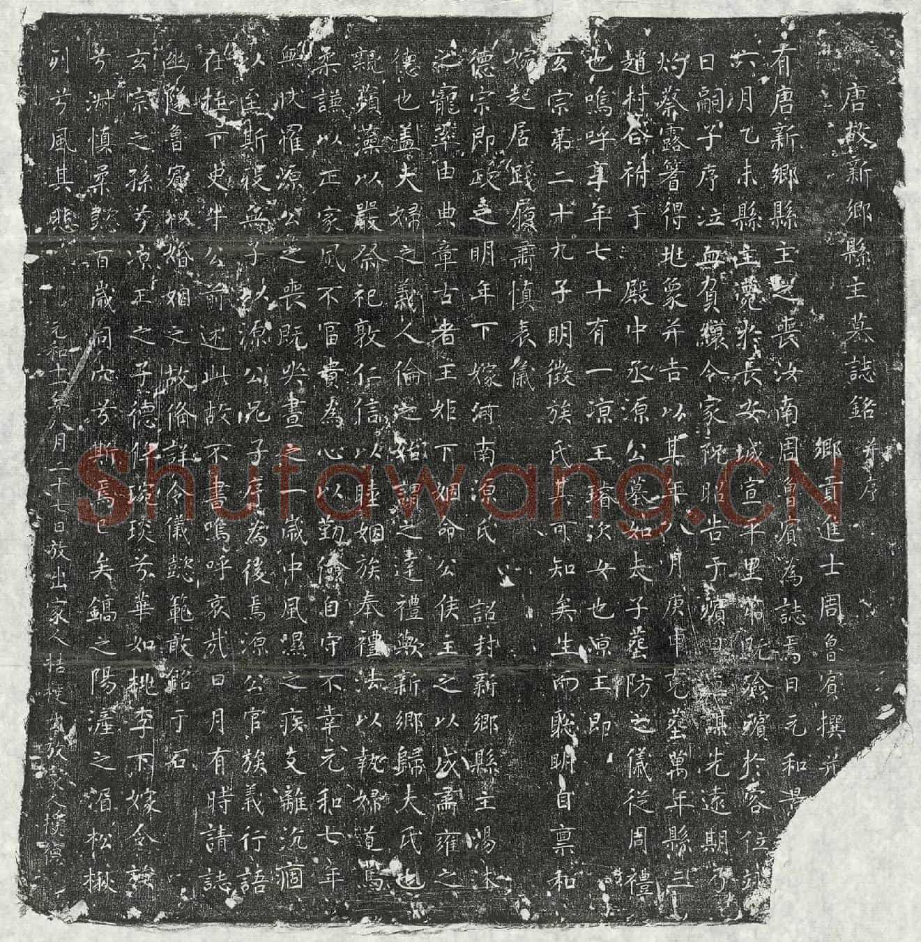 唐源君妻新乡县主李氏墓誌(唐故新乡县主墓誌铭并序)