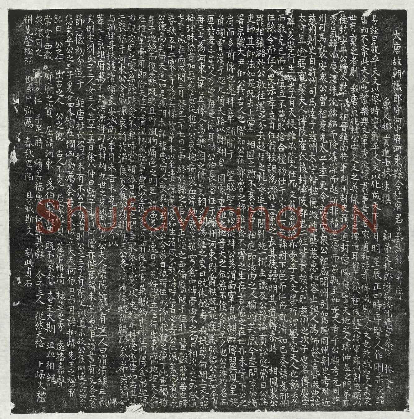 唐杜传庆墓誌(大唐故朝议郎守河中府河东县令杜府君墓誌铭并序)