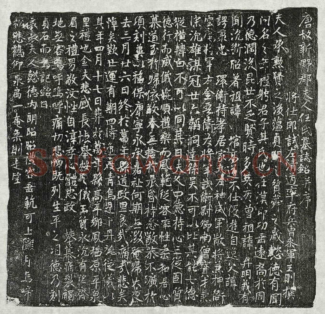 唐南僧宝妻任氏墓誌(唐故新野郡夫人任氏墓誌铭并序)
