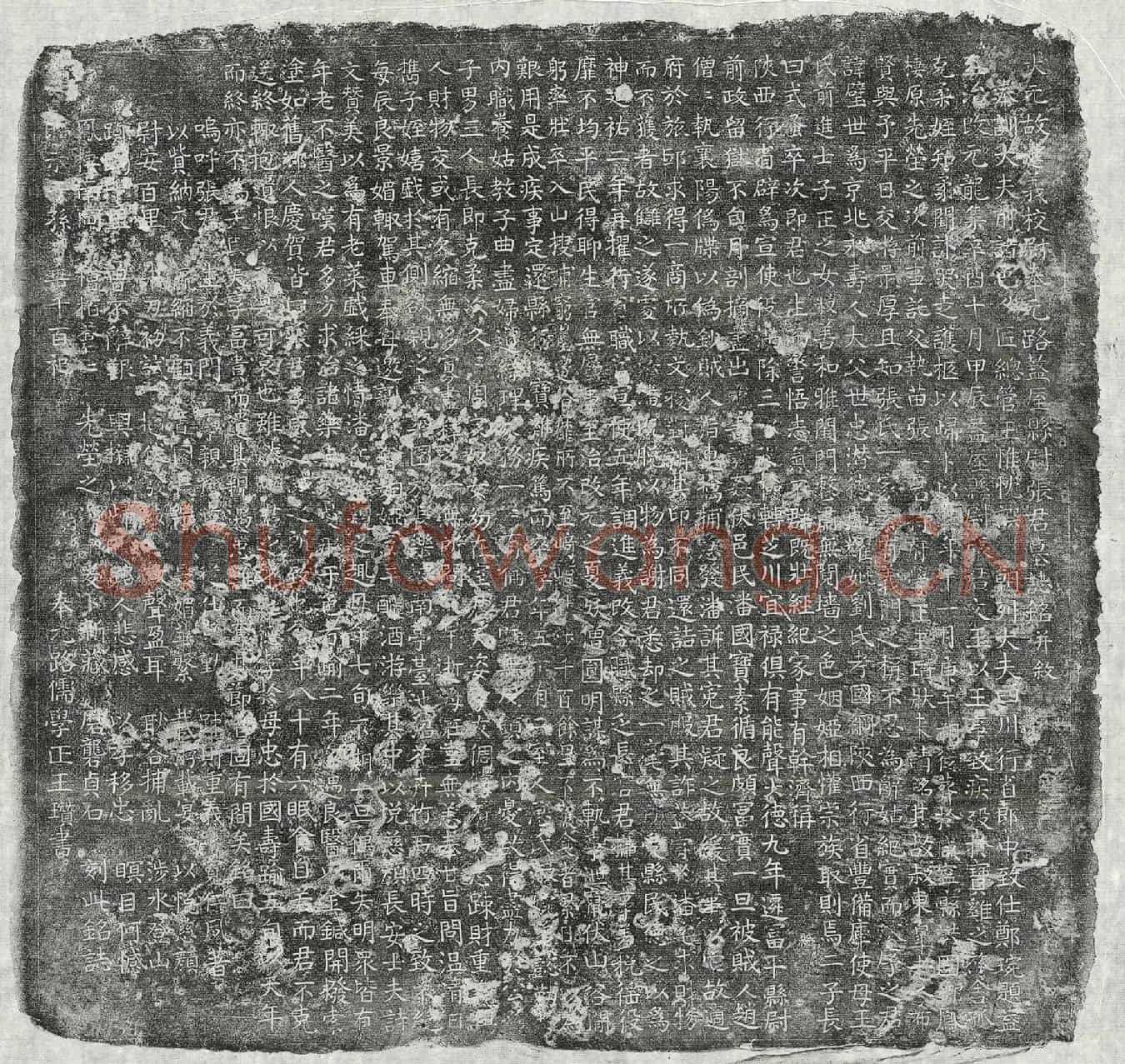 元张璧墓誌(大元故进义校尉奉元路盩厔县尉张君墓誌铭并叙)