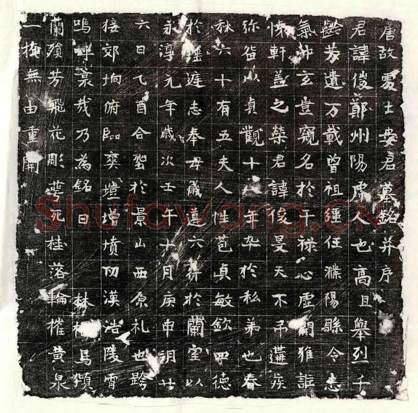 唐娄俊墓誌(唐故处士娄君墓铭并序)