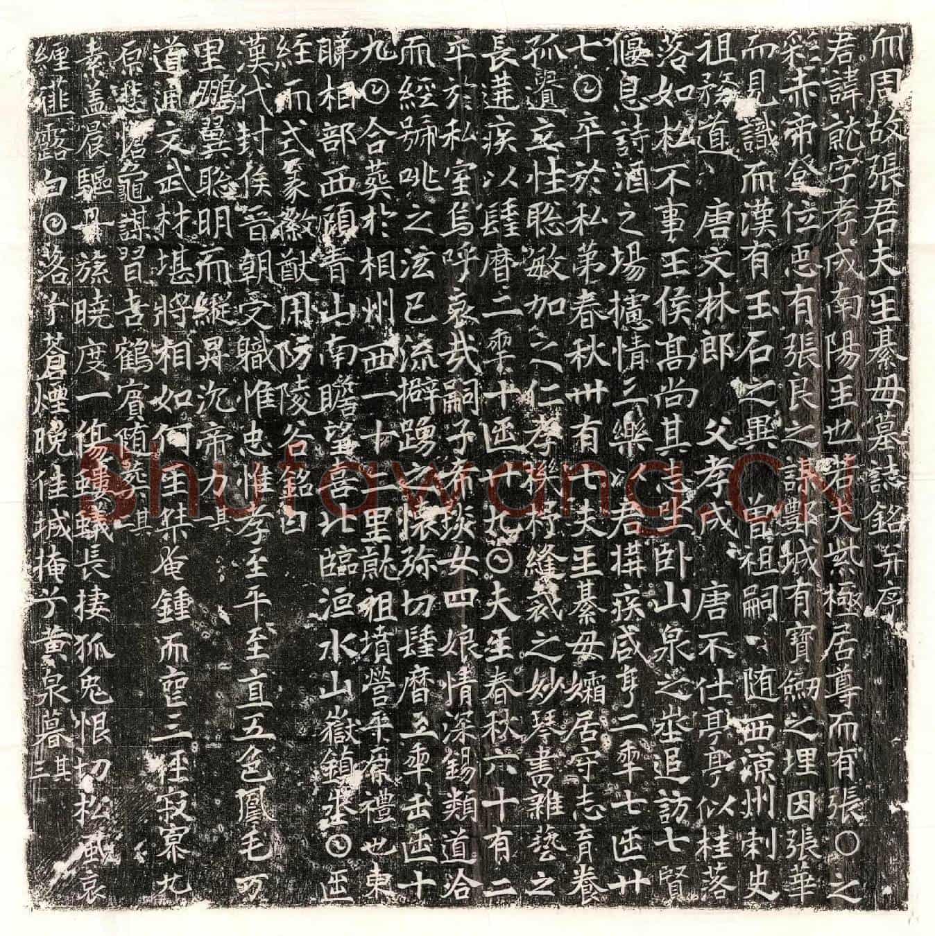 唐张就、张就妻綦毋氏墓誌(大周故张君夫人綦毋墓誌铭并序)