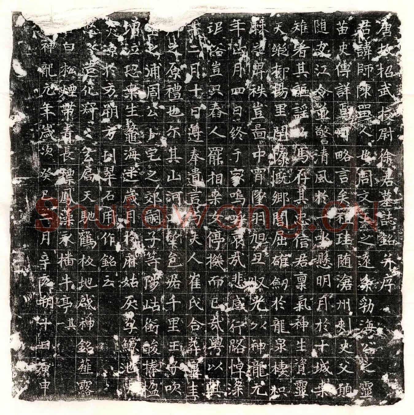 唐徐师墓誌(唐故招武校尉徐君墓誌铭并序)