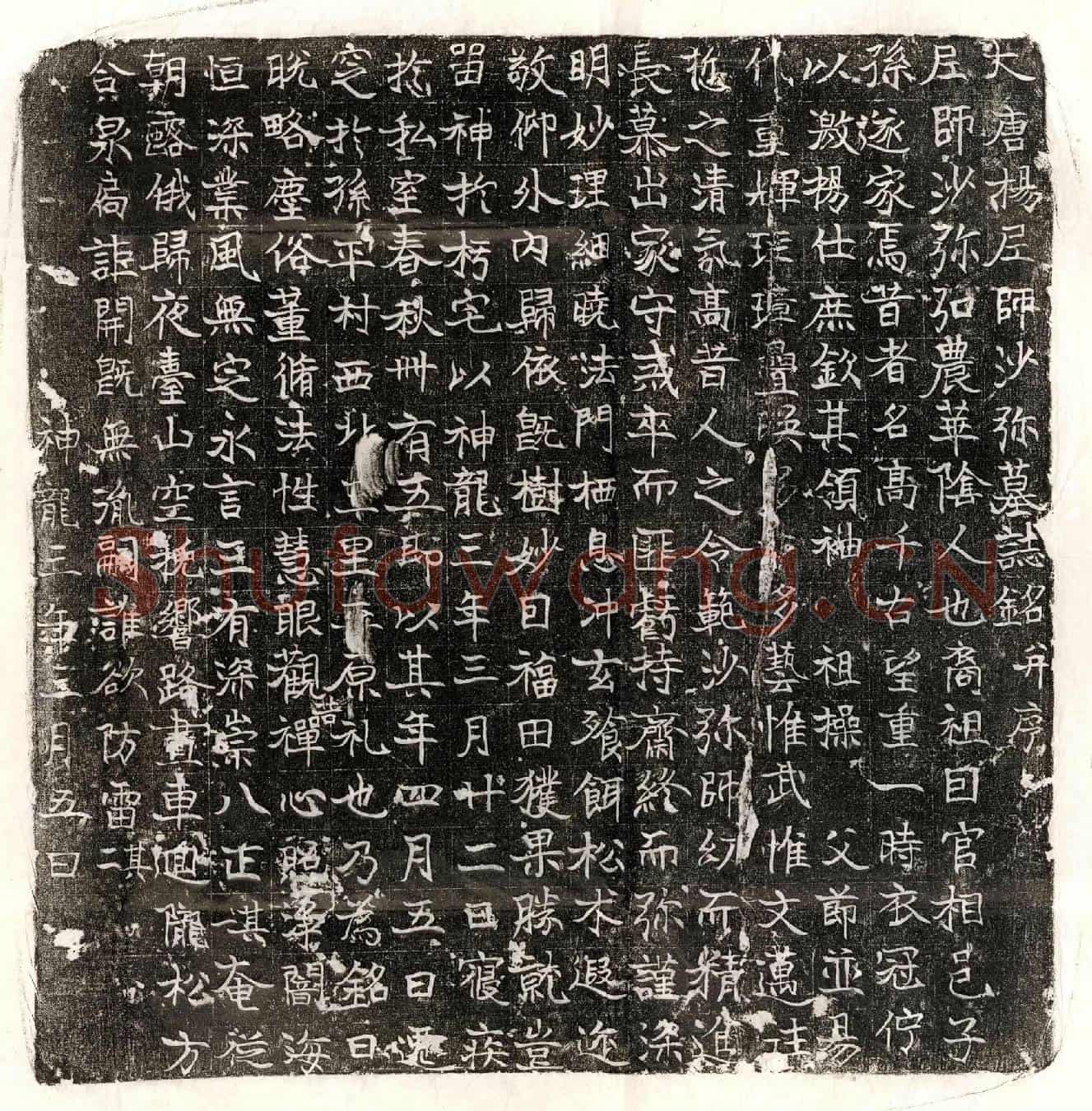唐杨尼师墓誌(大唐杨尼师沙弥墓誌铭并序)