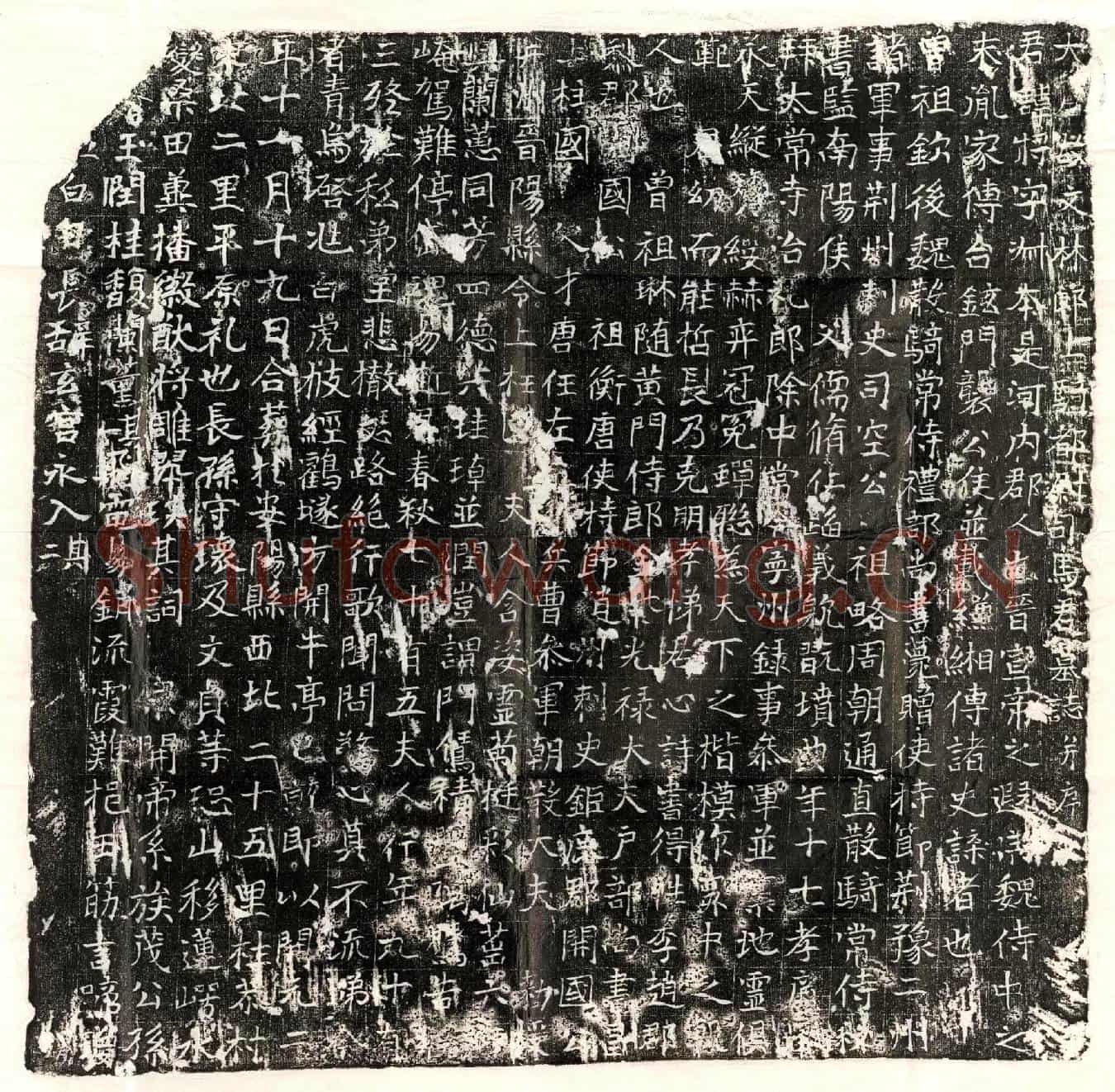唐司马将墓誌(大唐故文林郎上骑都尉司马君墓誌并序)
