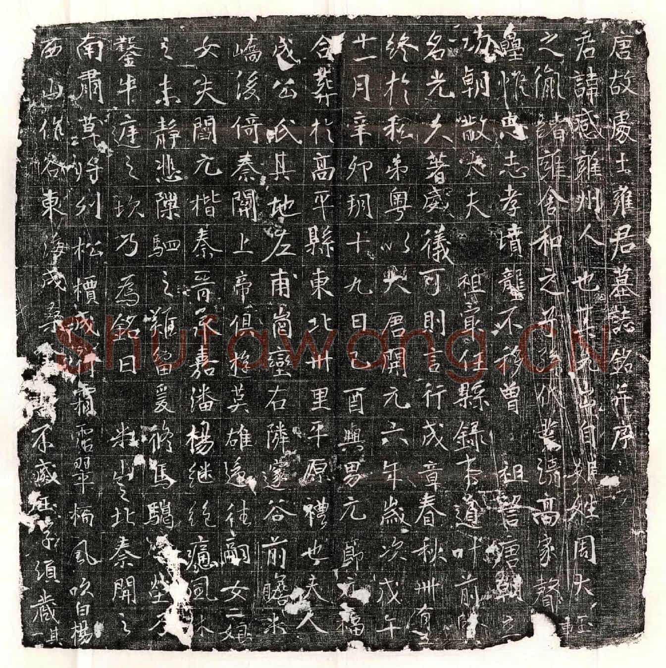 唐雍感墓誌(唐故处士雍君墓誌铭并序)