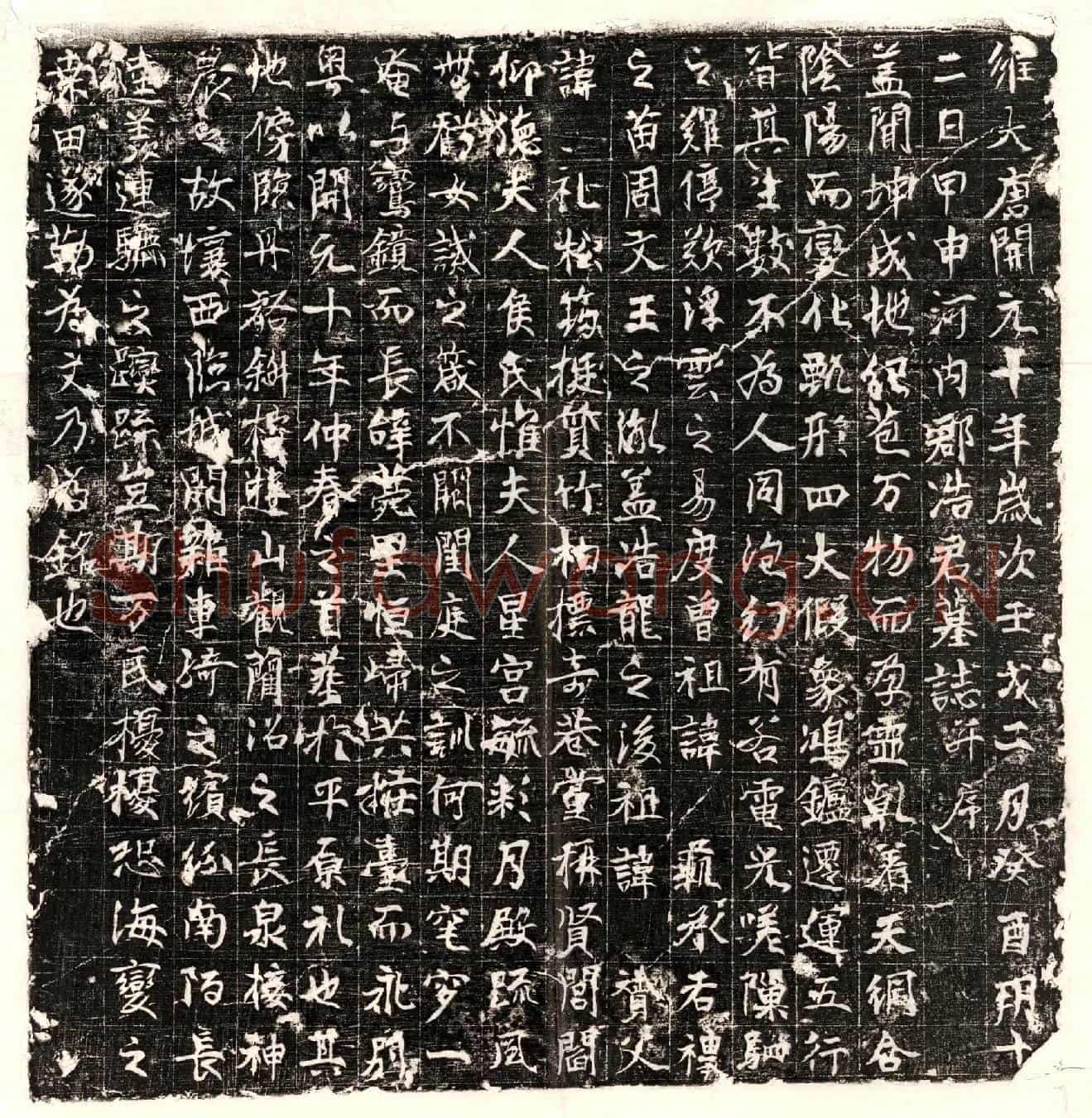 唐浩君墓誌(维大唐开元十年岁次壬戌二月癸酉朔十二日甲申河内郡浩君墓誌并序)