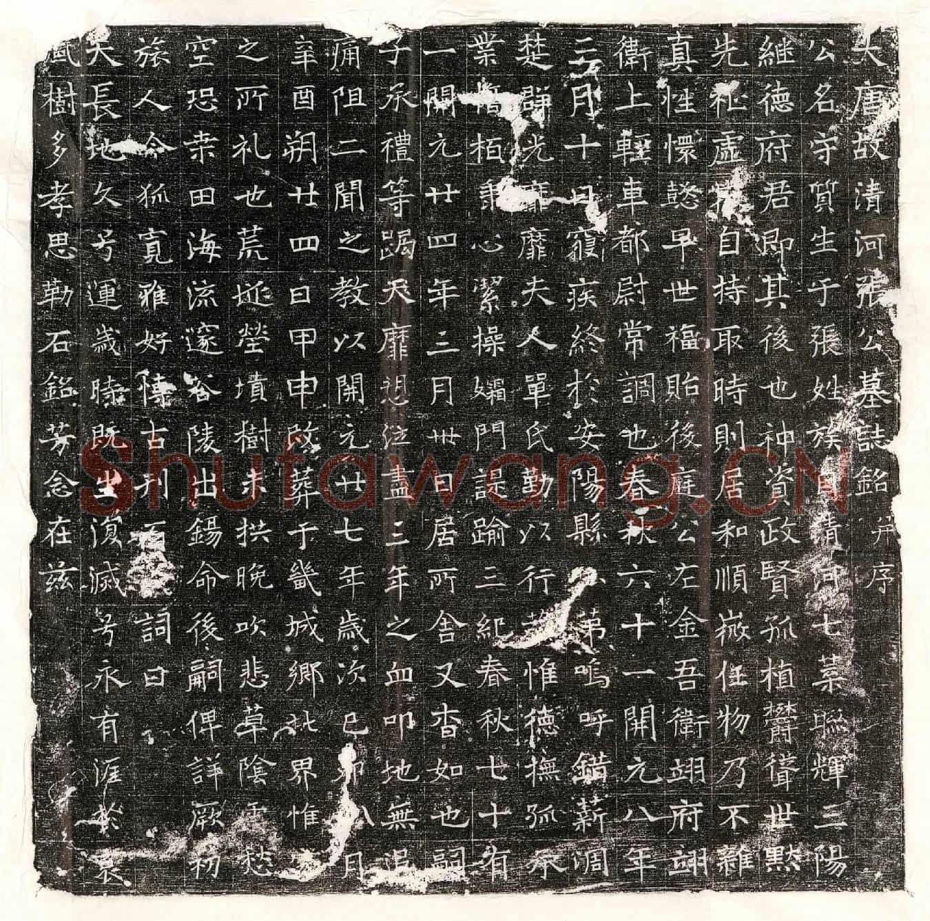 唐张守质墓誌(大唐故清河张公墓誌铭并序)