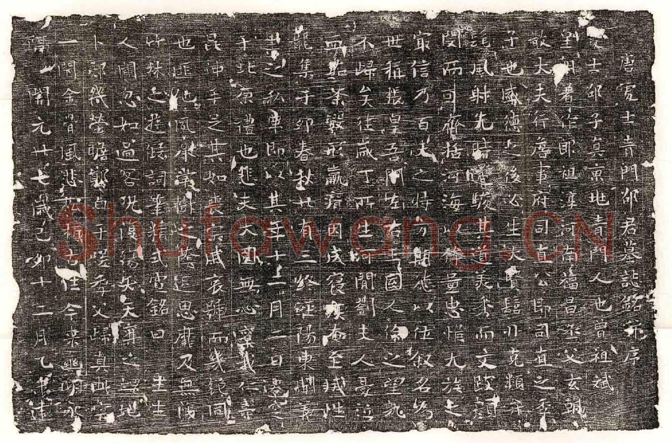 唐邵子真墓誌(唐处士青门邵君墓誌铭并序)