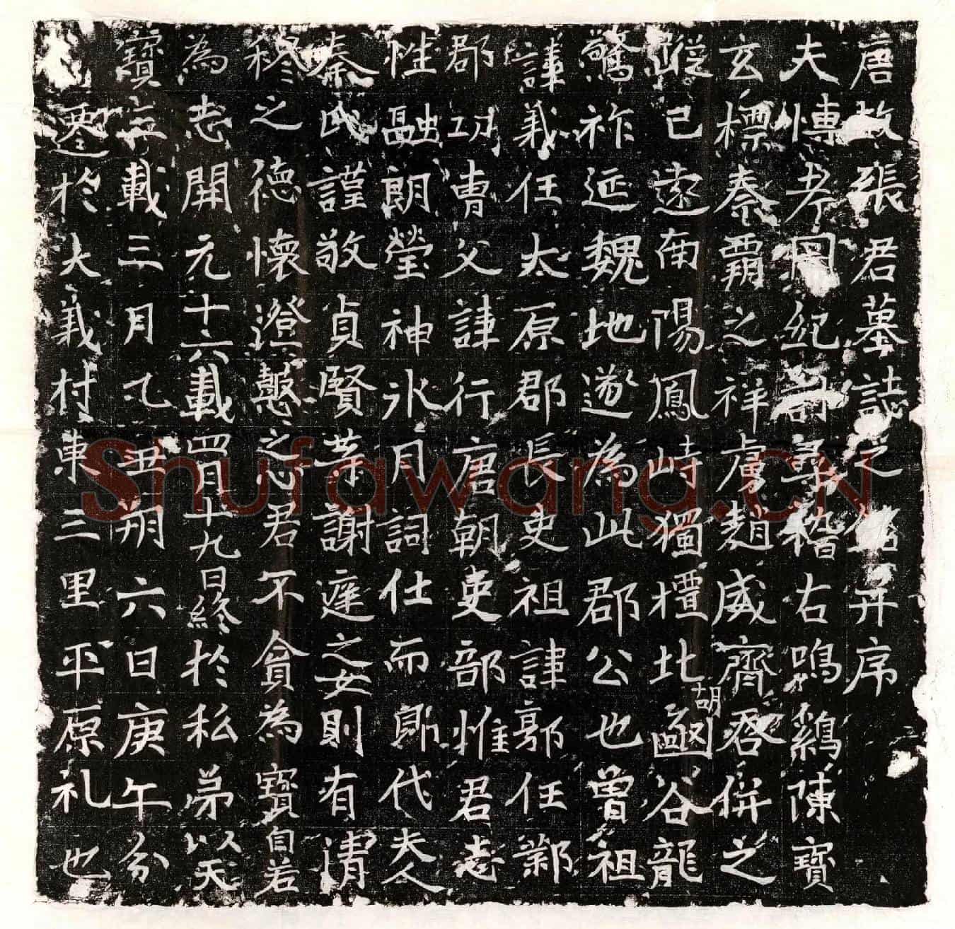 唐张君墓誌(唐故张君墓誌之铭并序)