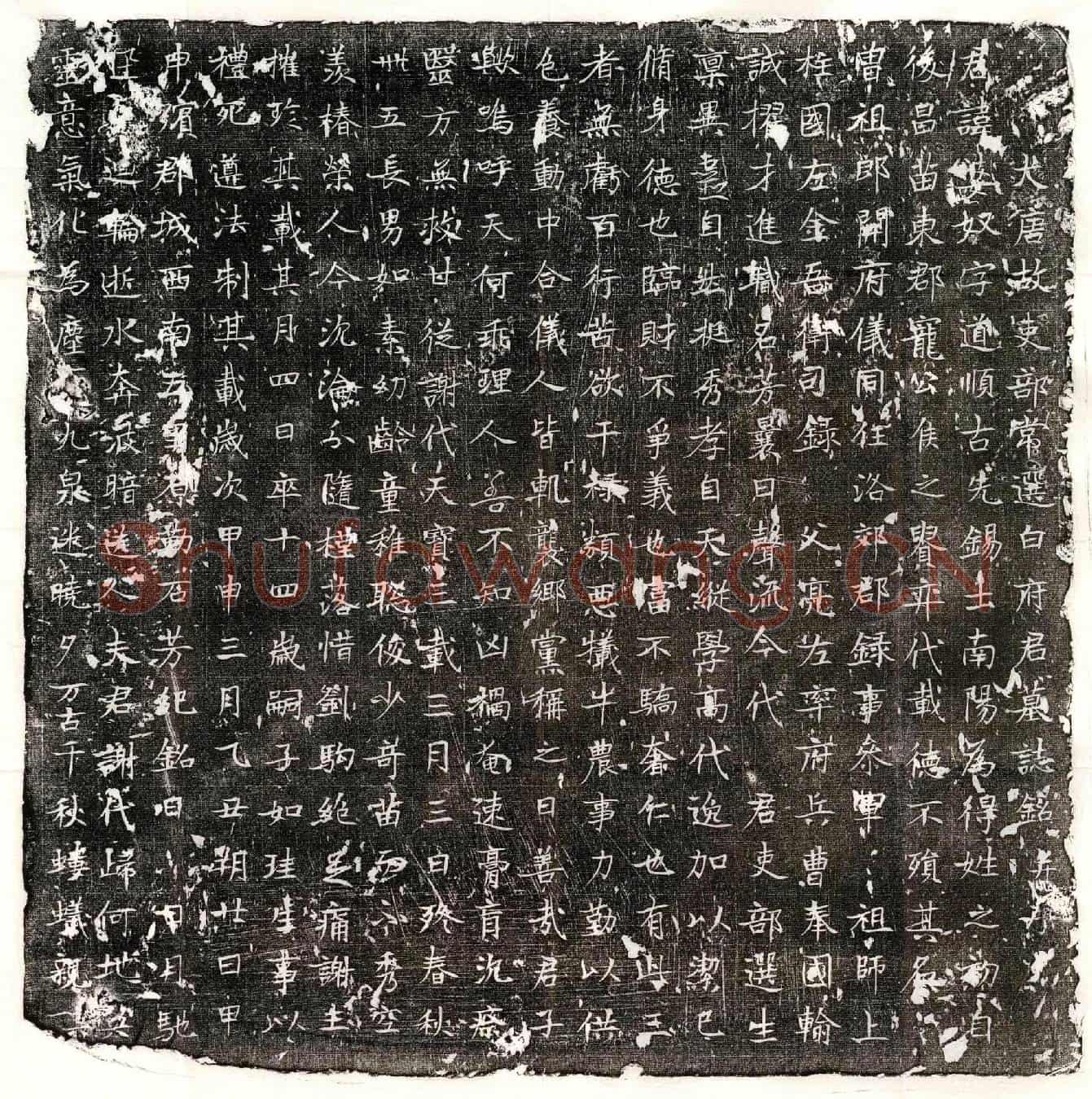 唐白婆奴墓誌(大唐故吏部常选白府君墓誌铭并序)