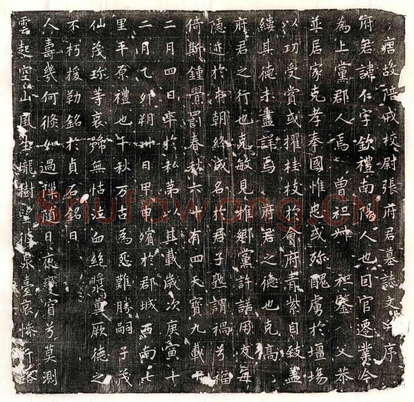 唐张仁墓誌(唐故陪戎校尉张府君墓誌文并序)