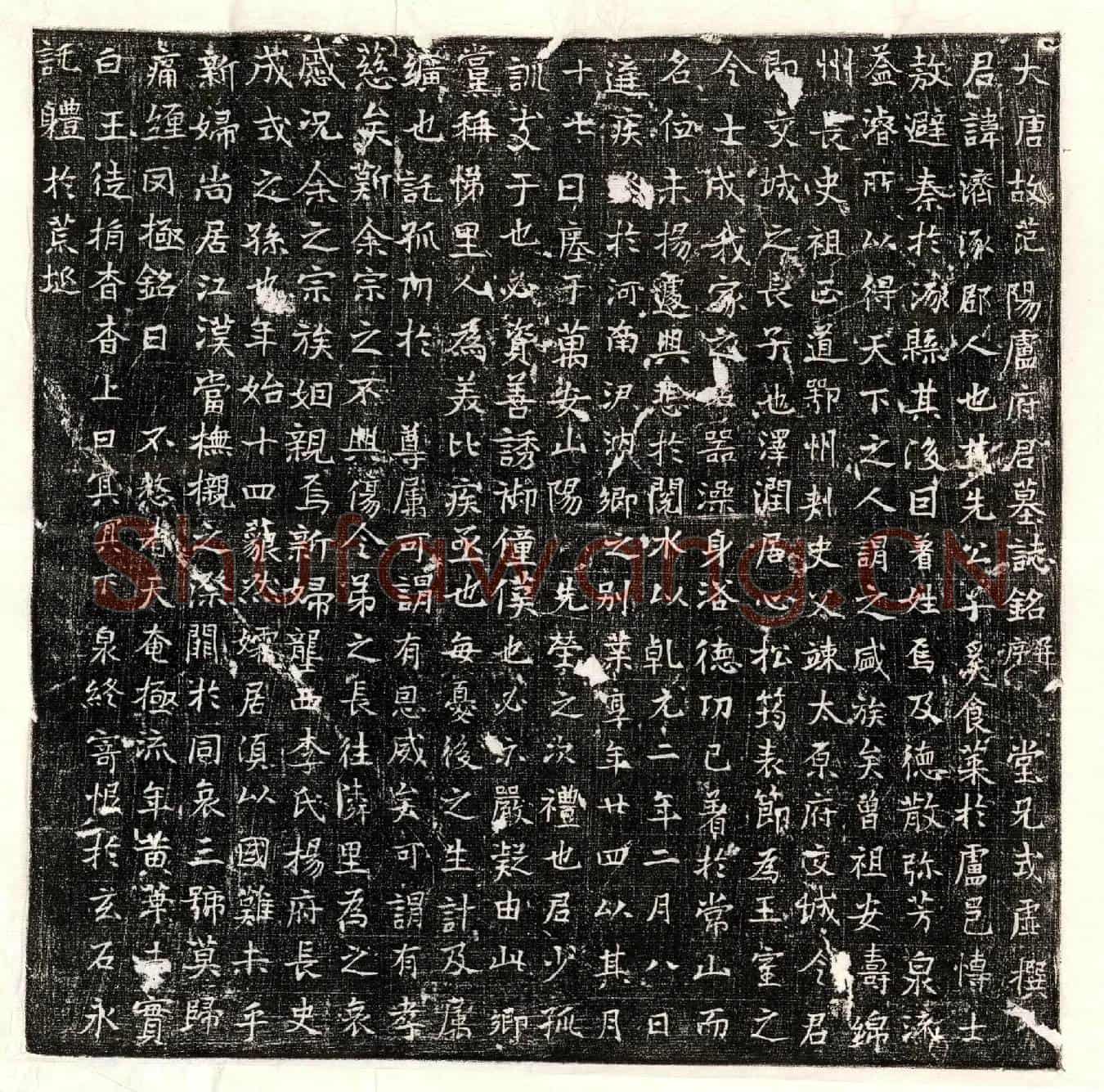 唐卢济墓誌(大唐故范阳卢府君墓誌铭并序)