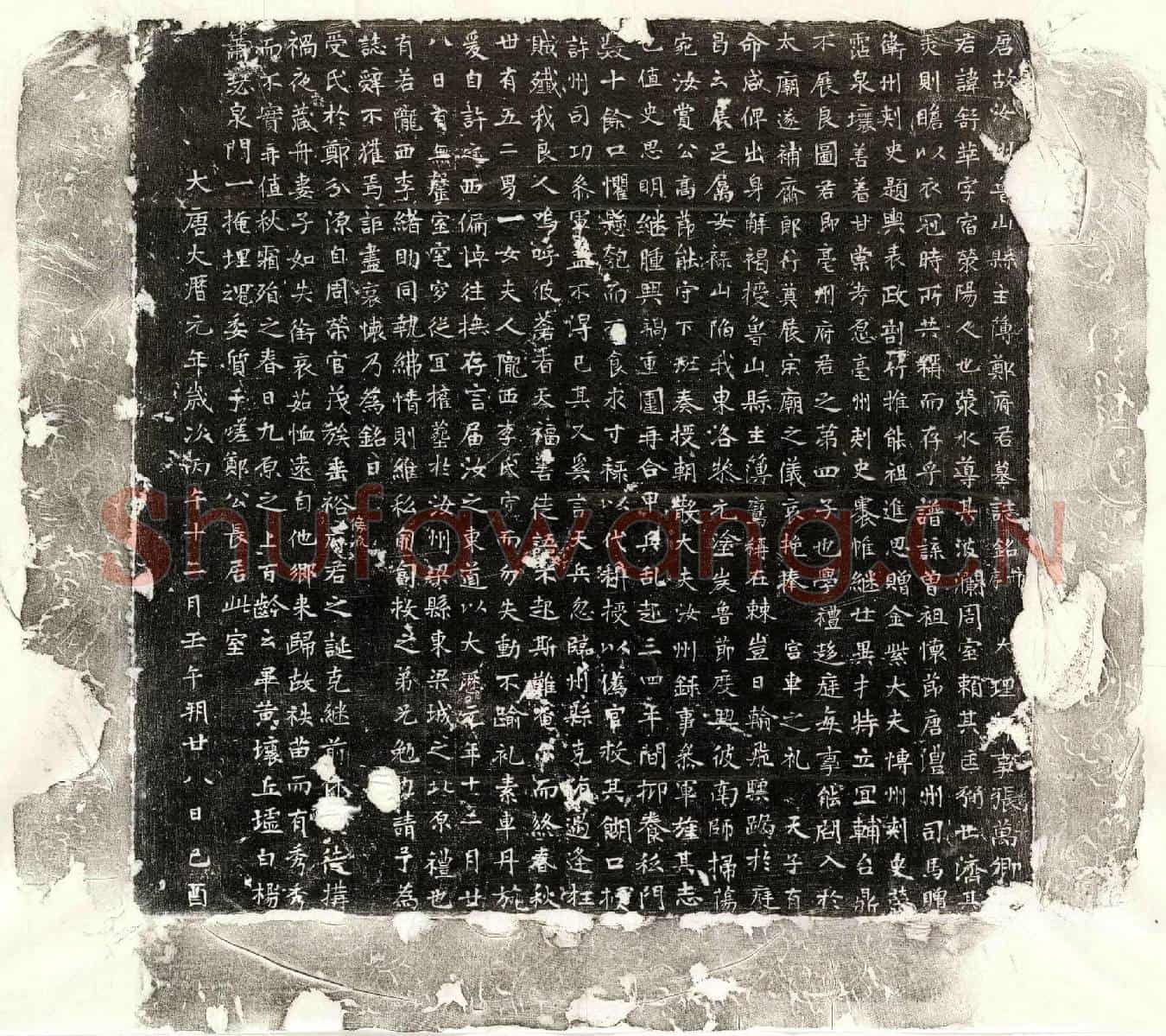 唐郑舒华墓誌(唐故汝州鲁山县主簿郑府君墓誌铭并序)