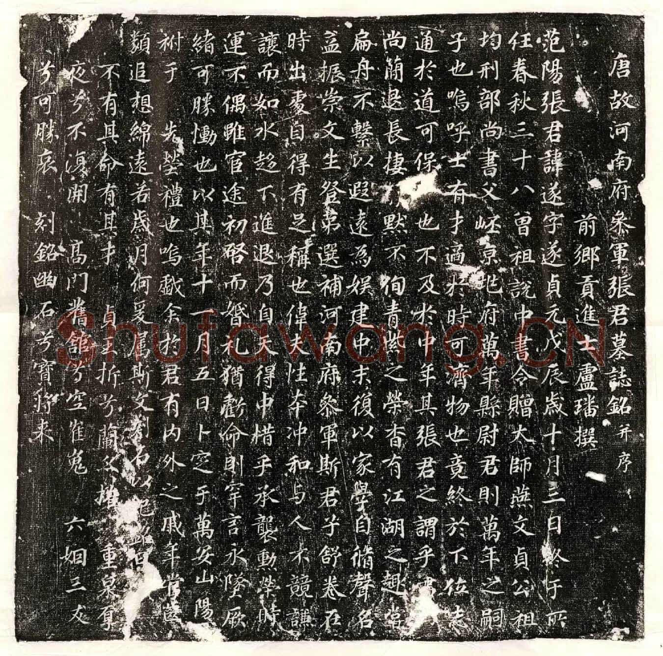 唐张遂墓誌(唐故河南府参军张君墓誌铭并序)