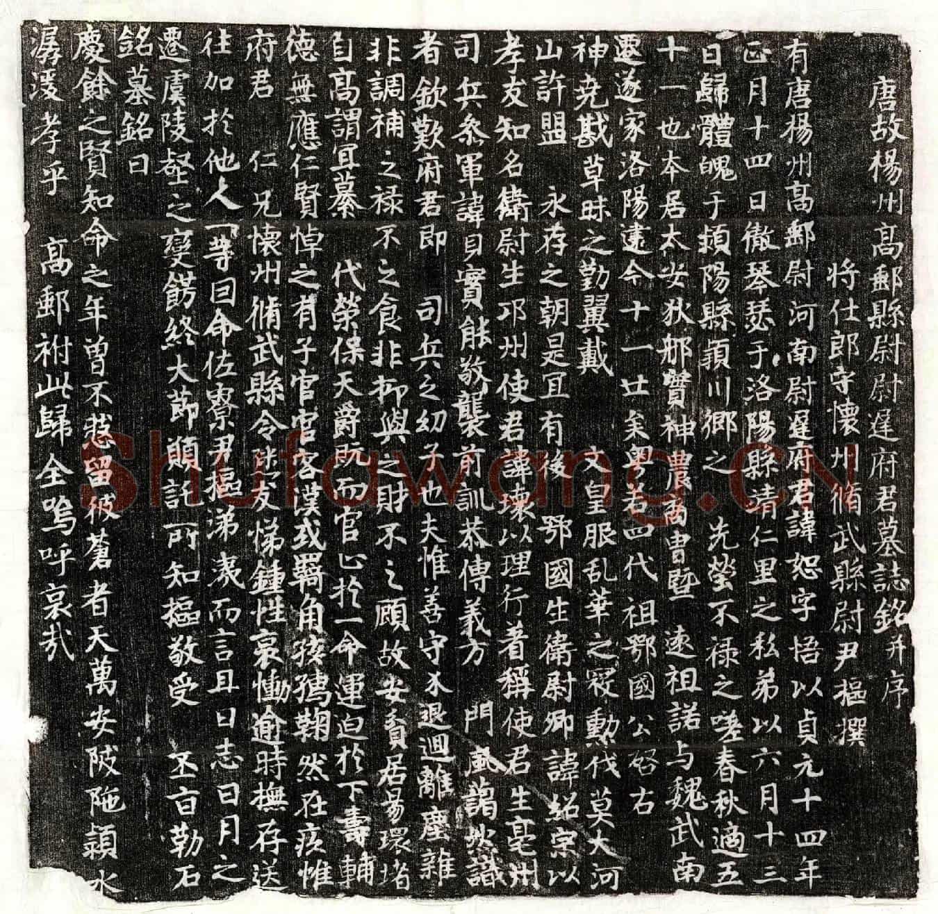 唐尉迟恕墓誌(唐故扬州高邮县尉尉迟府君墓誌铭并序)