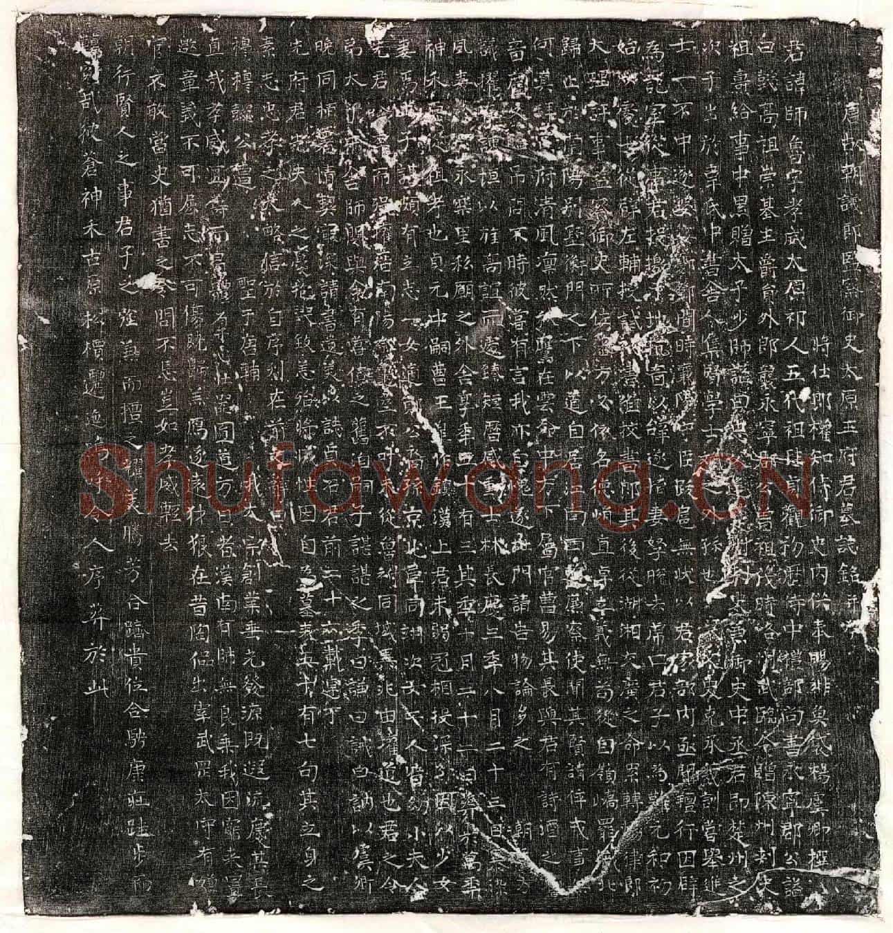唐王师鲁墓誌(唐故朝议郎监察御史太原王府君墓誌铭并序)