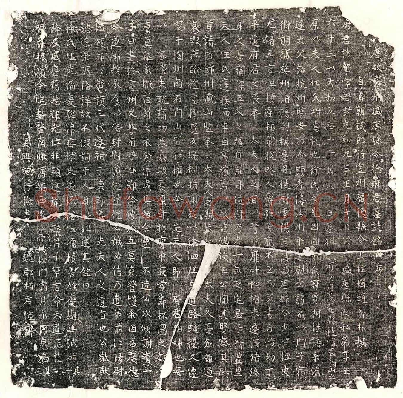 唐徐挚墓誌(大唐故寿州盛唐县令徐府君墓誌铭并序)
