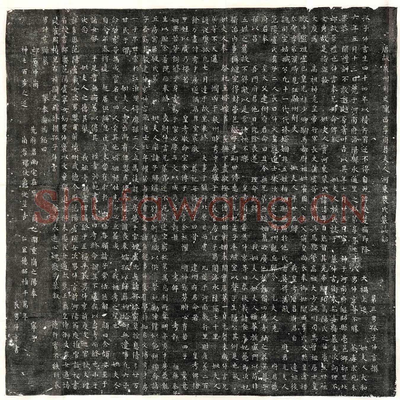 唐李震妻裴清墓誌(唐故泉州刺史陇西李府君夫人河东裴氏墓誌铭)