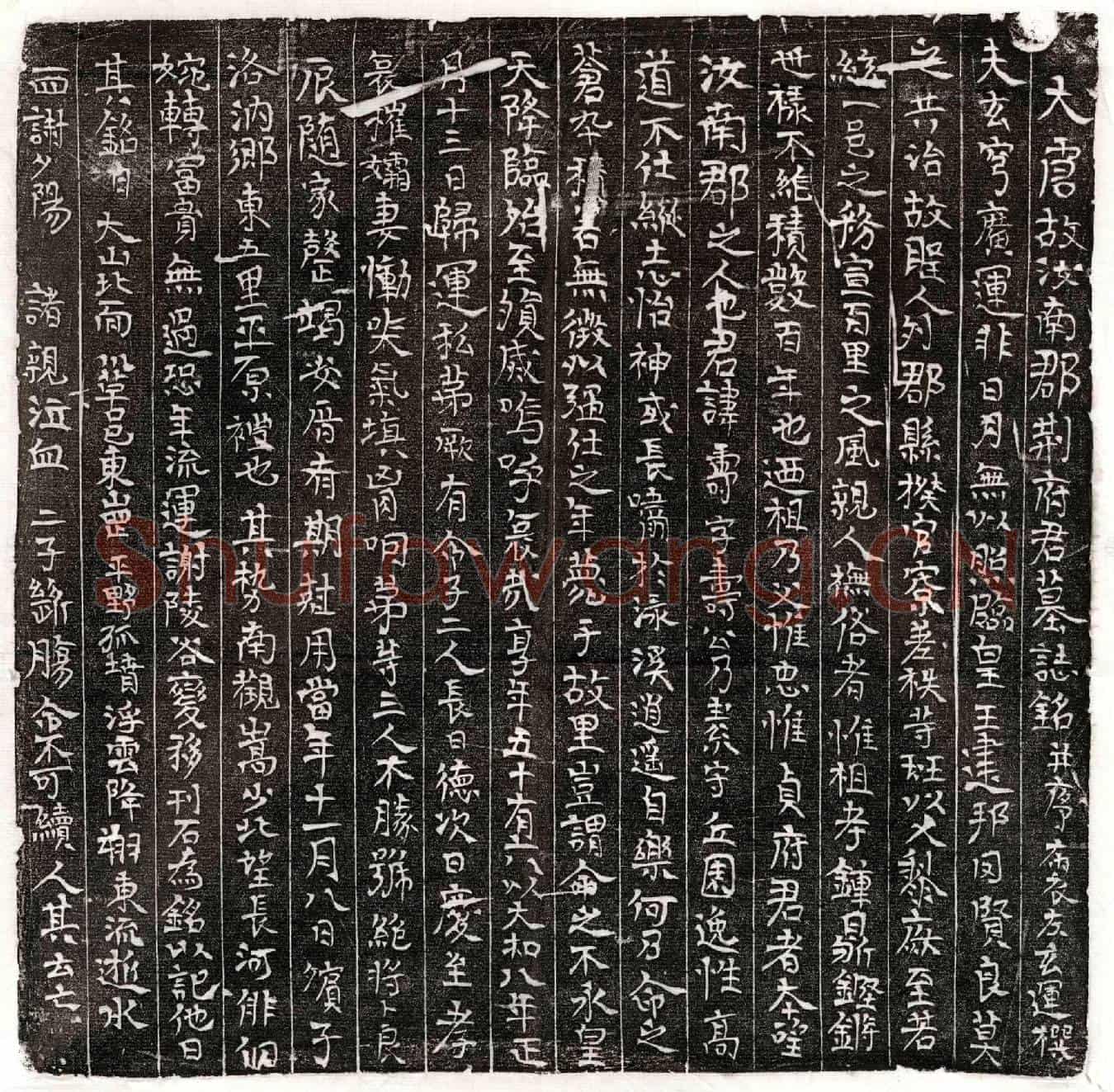 唐荆寿墓誌(大唐故汝南郡荆府君墓誌铭并序)