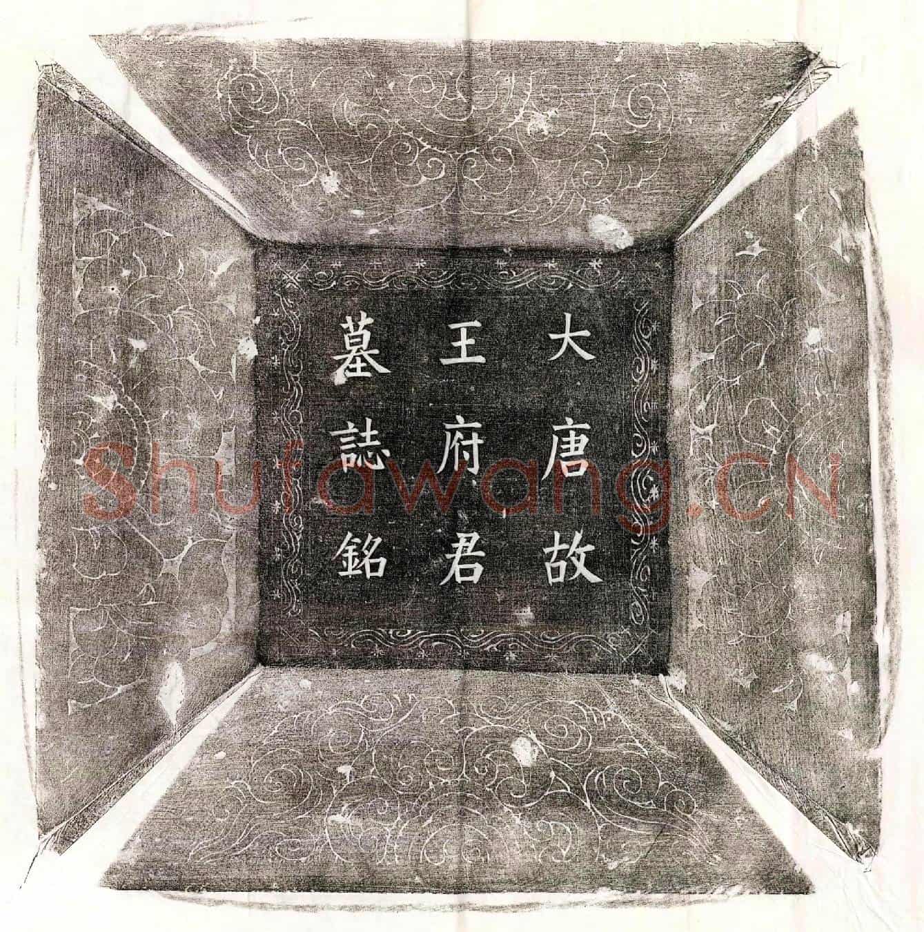 唐王鲁复墓誌(大唐故亳州城父县令王府君墓誌未终前一年自号知道先生撰遗誌文)
