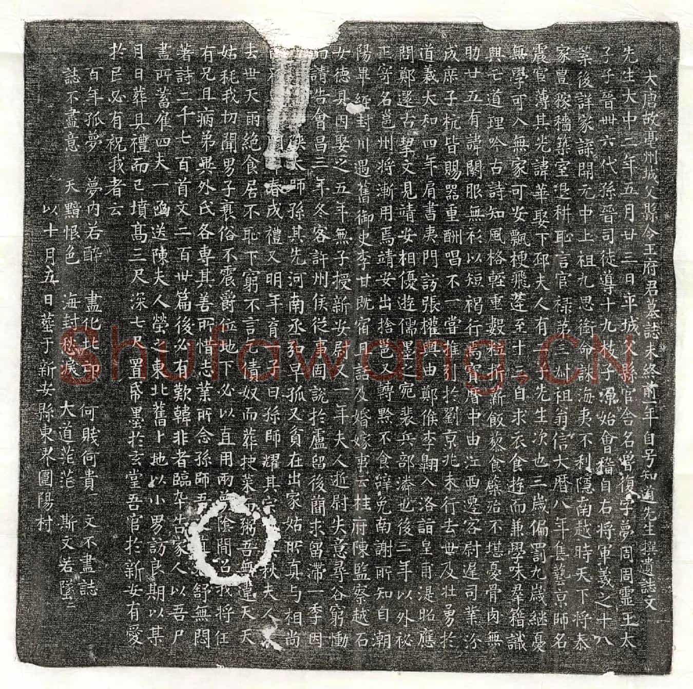 唐王鲁复墓誌(大唐故亳州城父县令王府君墓誌未终前一年自号知道先生撰遗誌文)