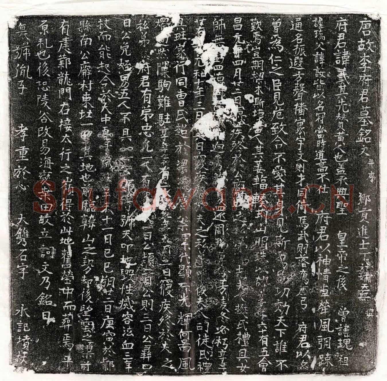 唐李义墓誌(唐故李府君墓铭文并序)