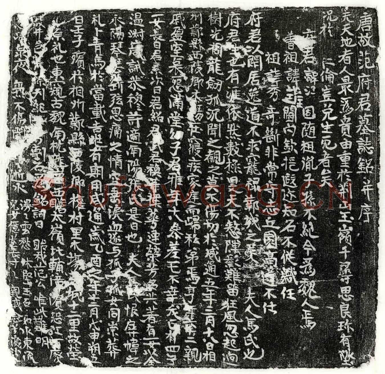 唐范江墓誌(唐故范府君墓誌铭并序)
