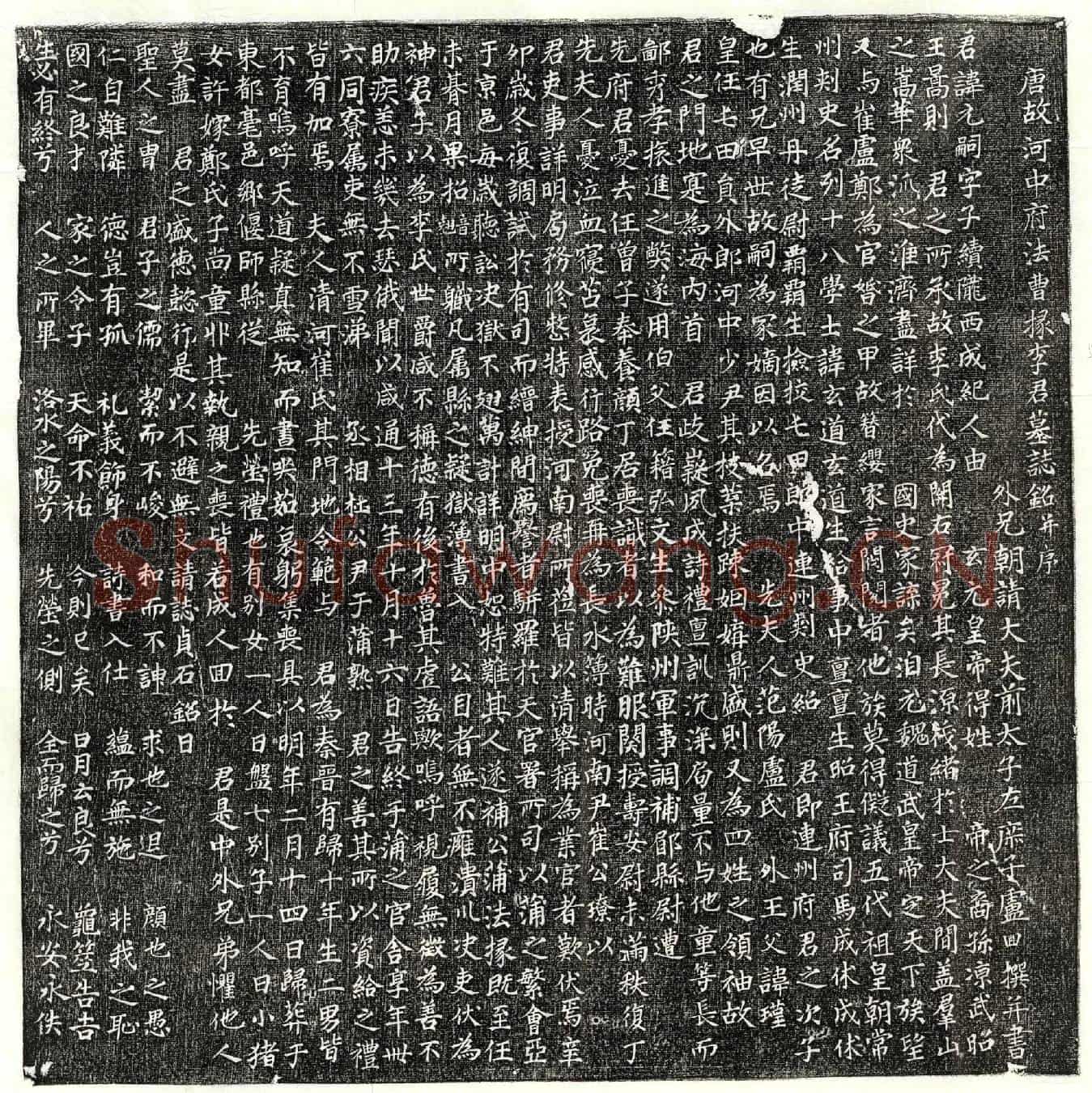 唐李元嗣墓誌(唐故河中府法曹掾李君墓誌铭并序)