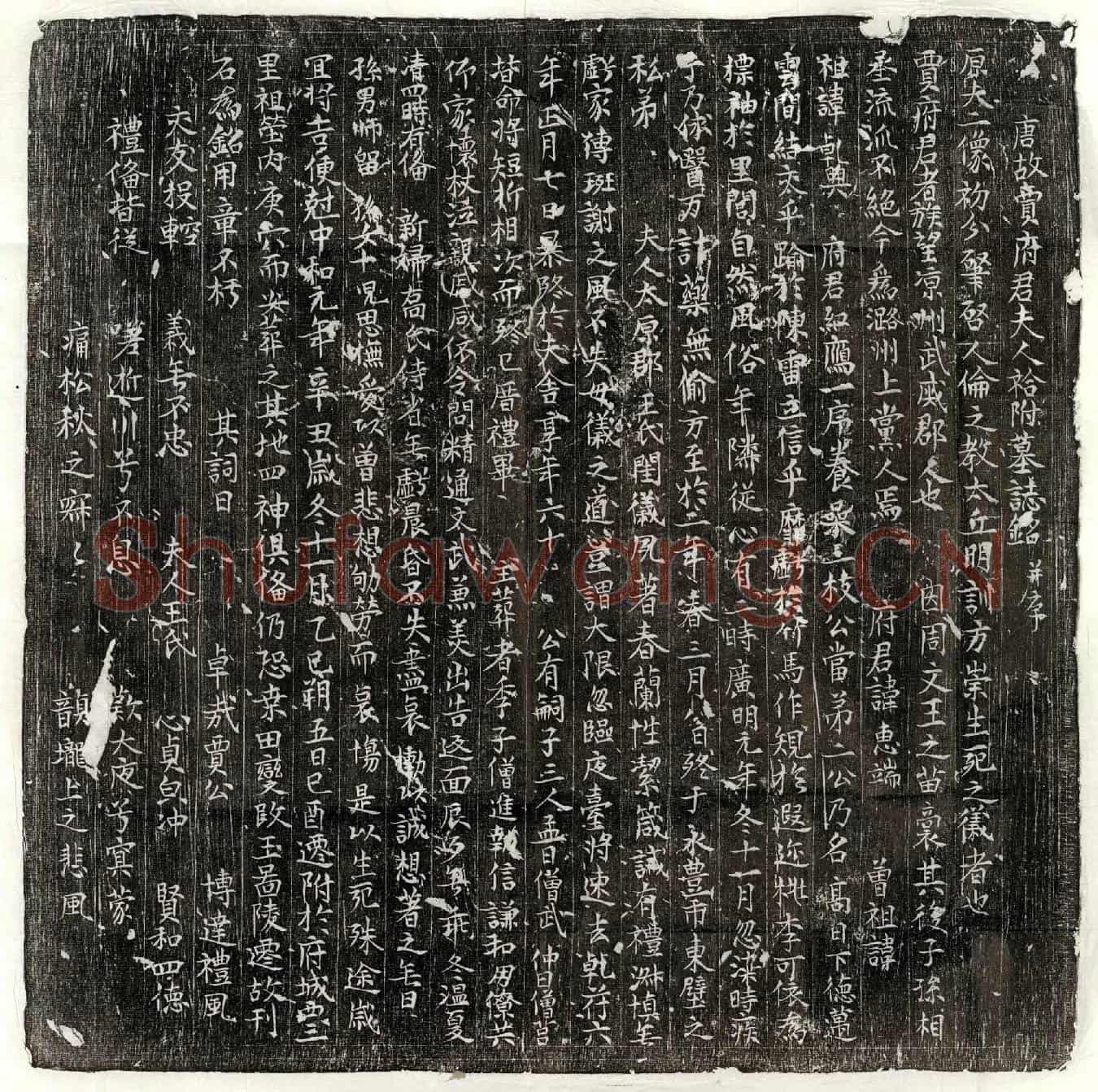 唐贾惠端、贾惠端妻王氏墓誌(唐故贾府君夫人祫附墓誌铭并序)