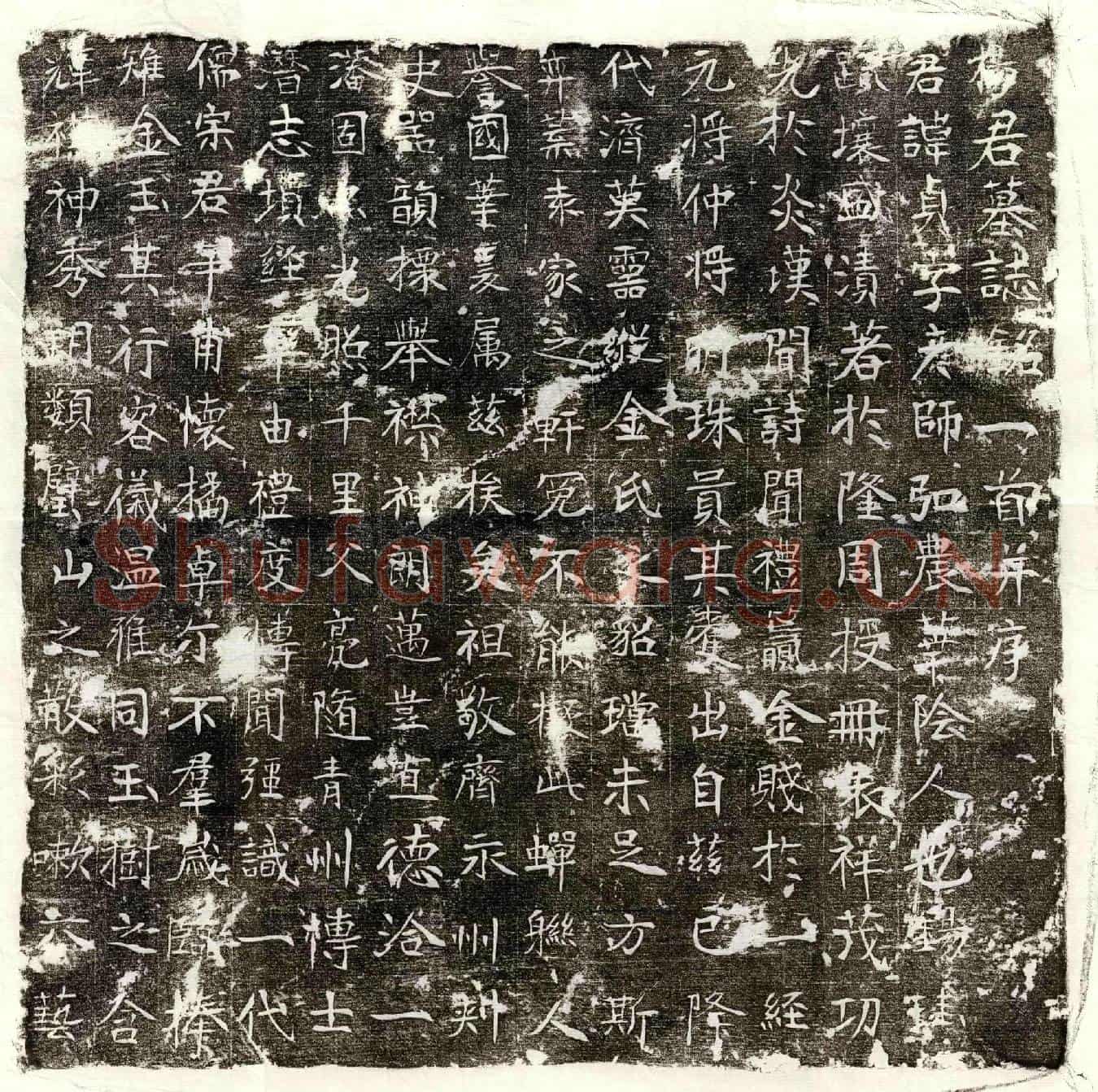 唐杨贞墓誌(杨君墓誌铭一首并序)