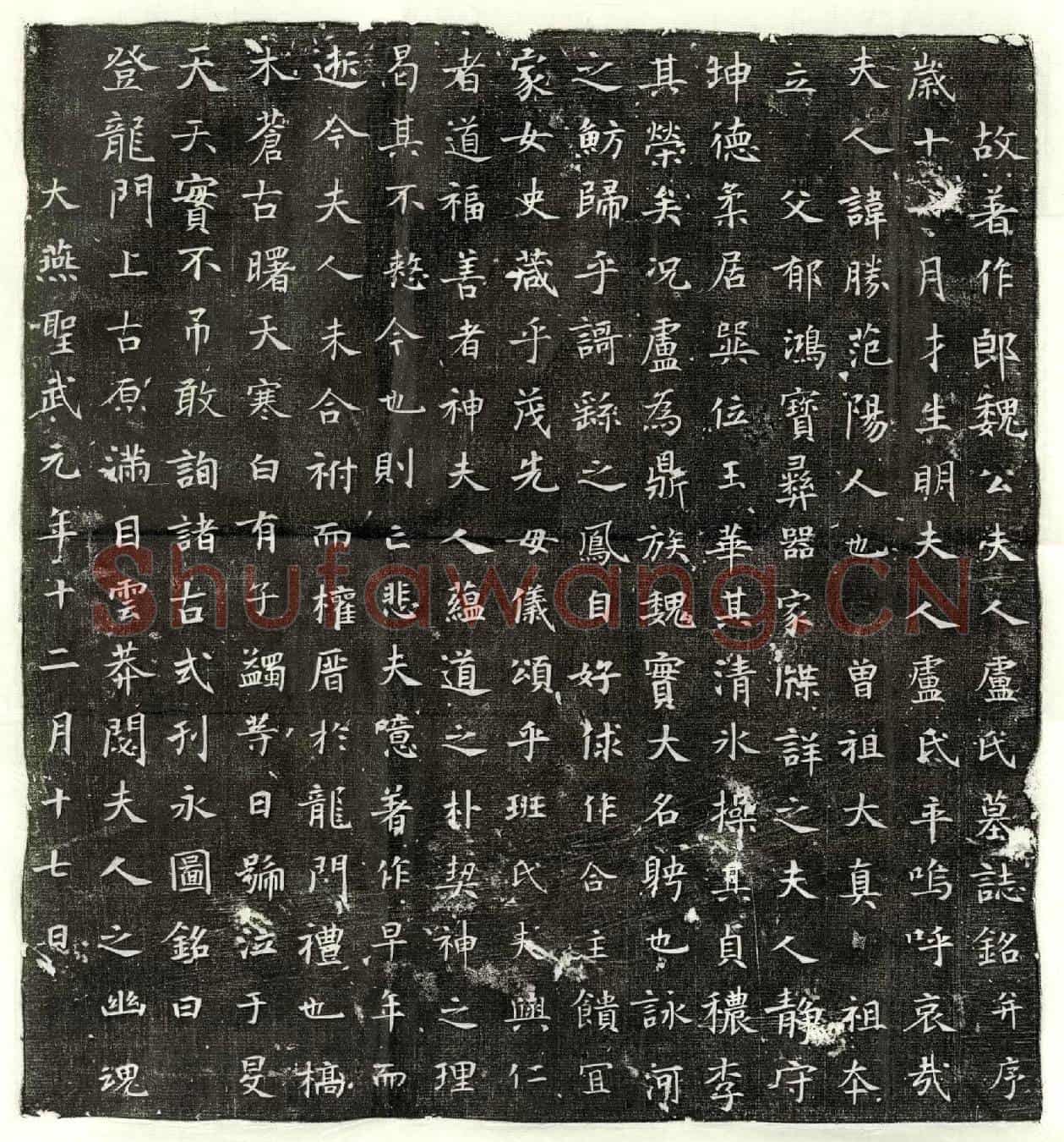 唐魏君妻卢胜墓誌(故着作郎魏公夫人卢氏墓誌铭并序)