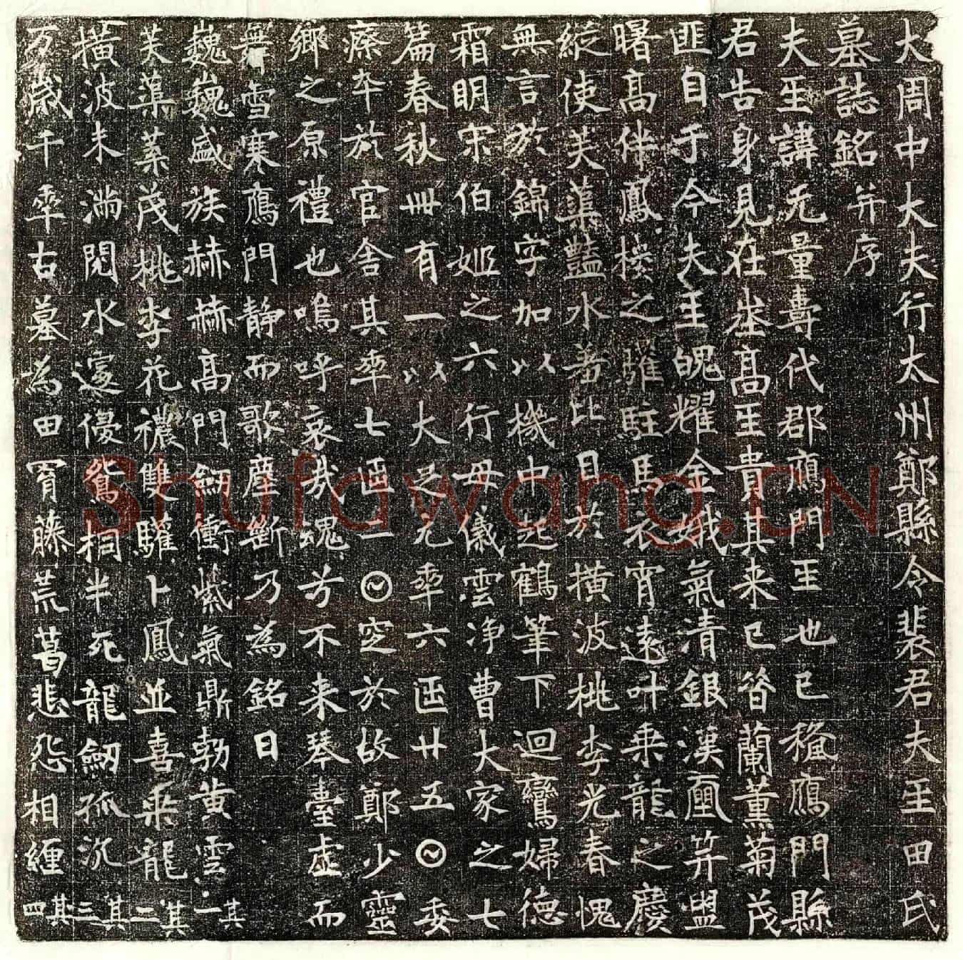 唐裴君妻田无量寿墓誌(大周中大夫行太州郑县令裴君夫人田氏墓誌铭并序)