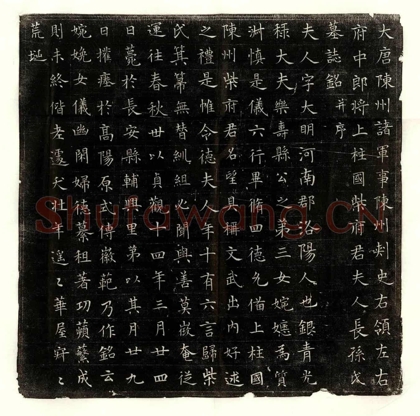 唐柴君妻长孙大明墓誌(大唐陈州诸军事陈州刺史右领左右府中郎将上柱国柴府君夫人长孙氏墓誌铭并序)