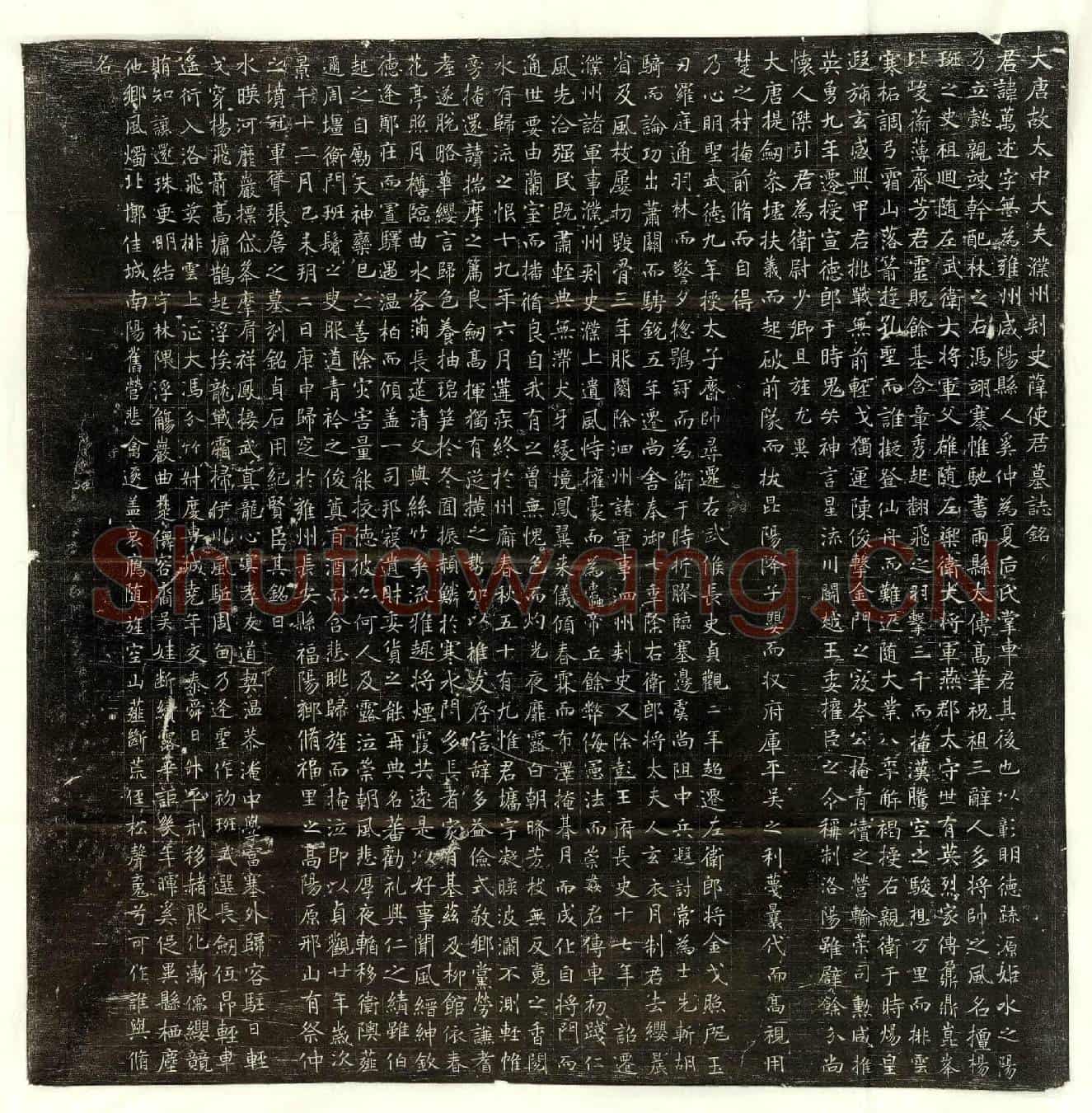 唐薛万述墓誌(大唐故太中大夫濮州刺史薛使君墓誌铭)