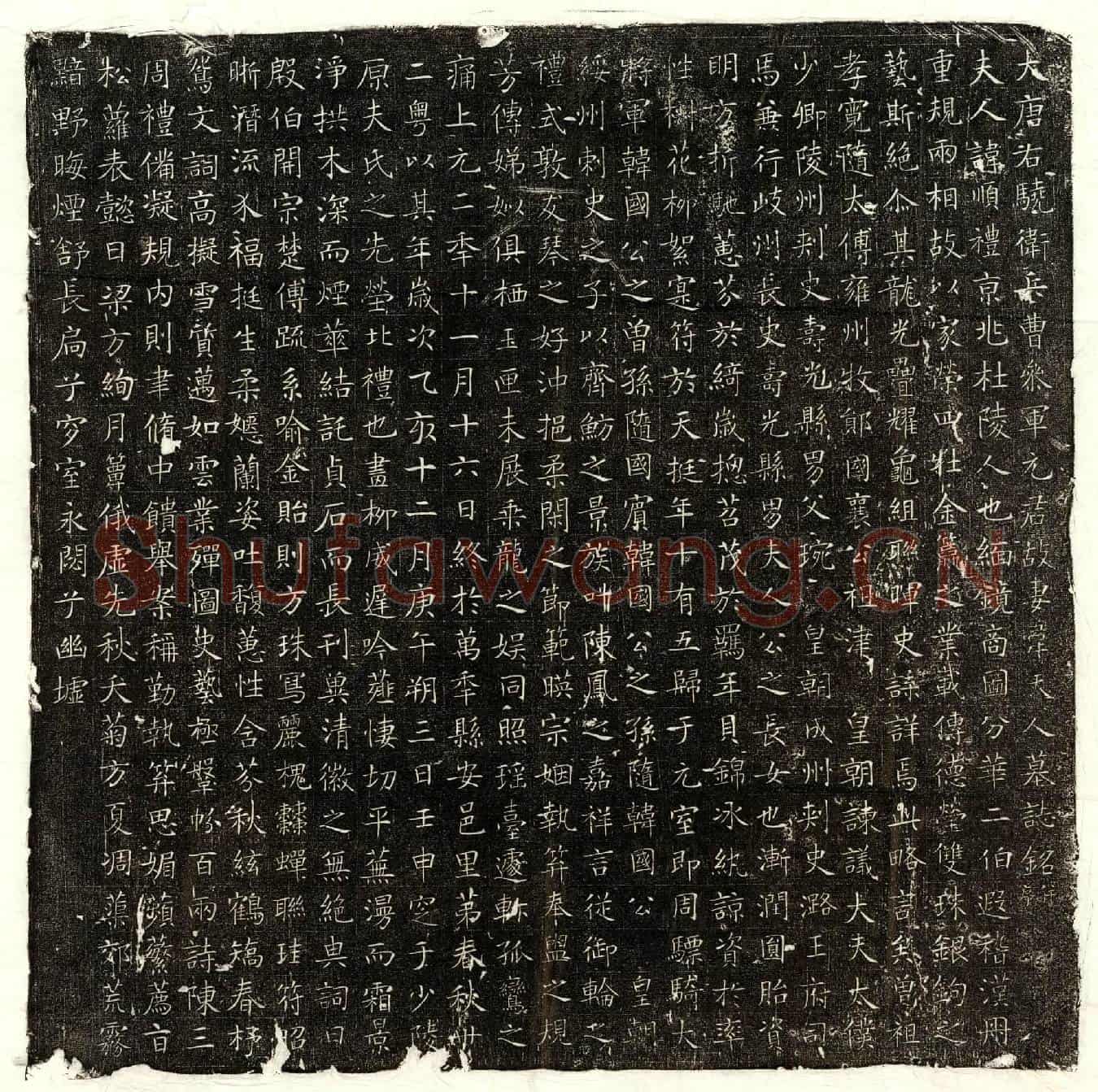 唐元君妻韦顺礼墓誌(大唐右骁卫兵曹参军元君故妻韦夫人墓誌铭并序)