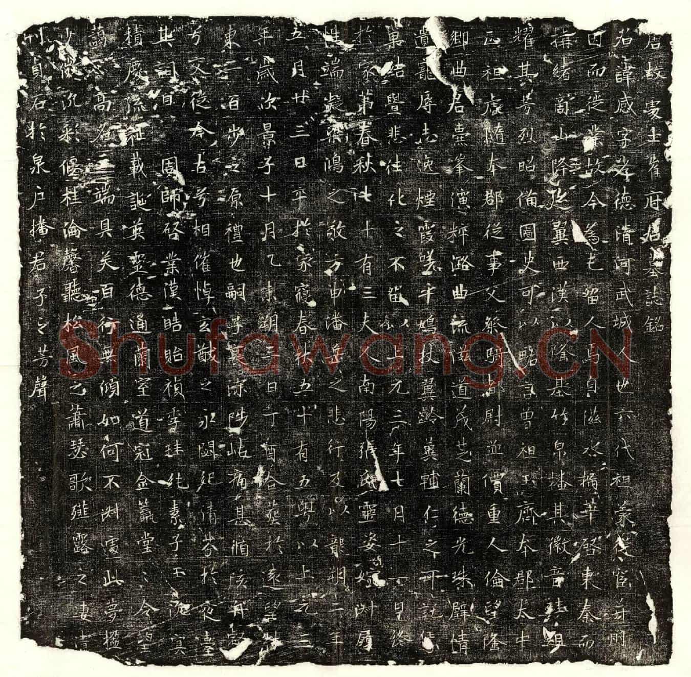 唐崔感墓誌(唐故处士崔府君墓誌铭)